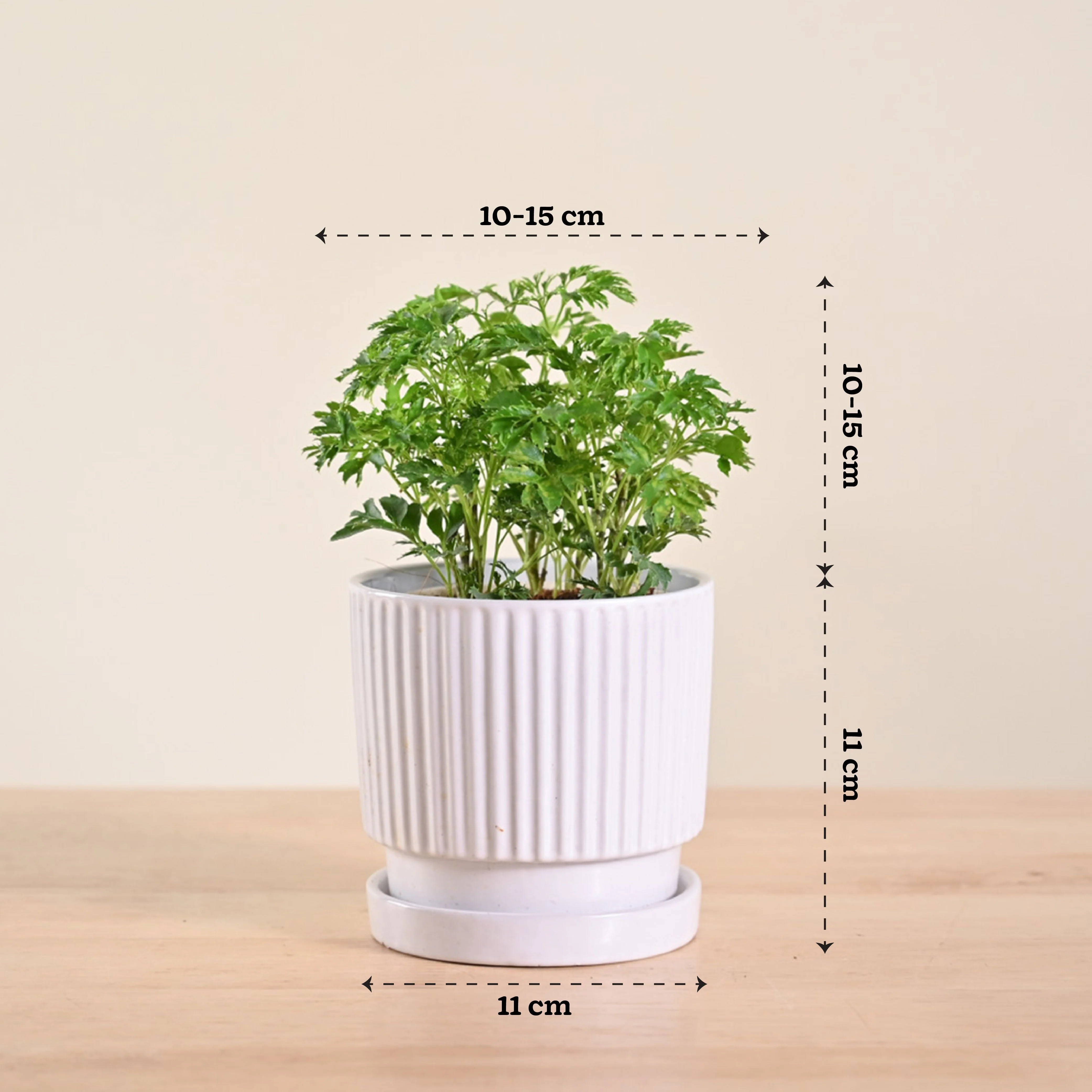 Product image 113