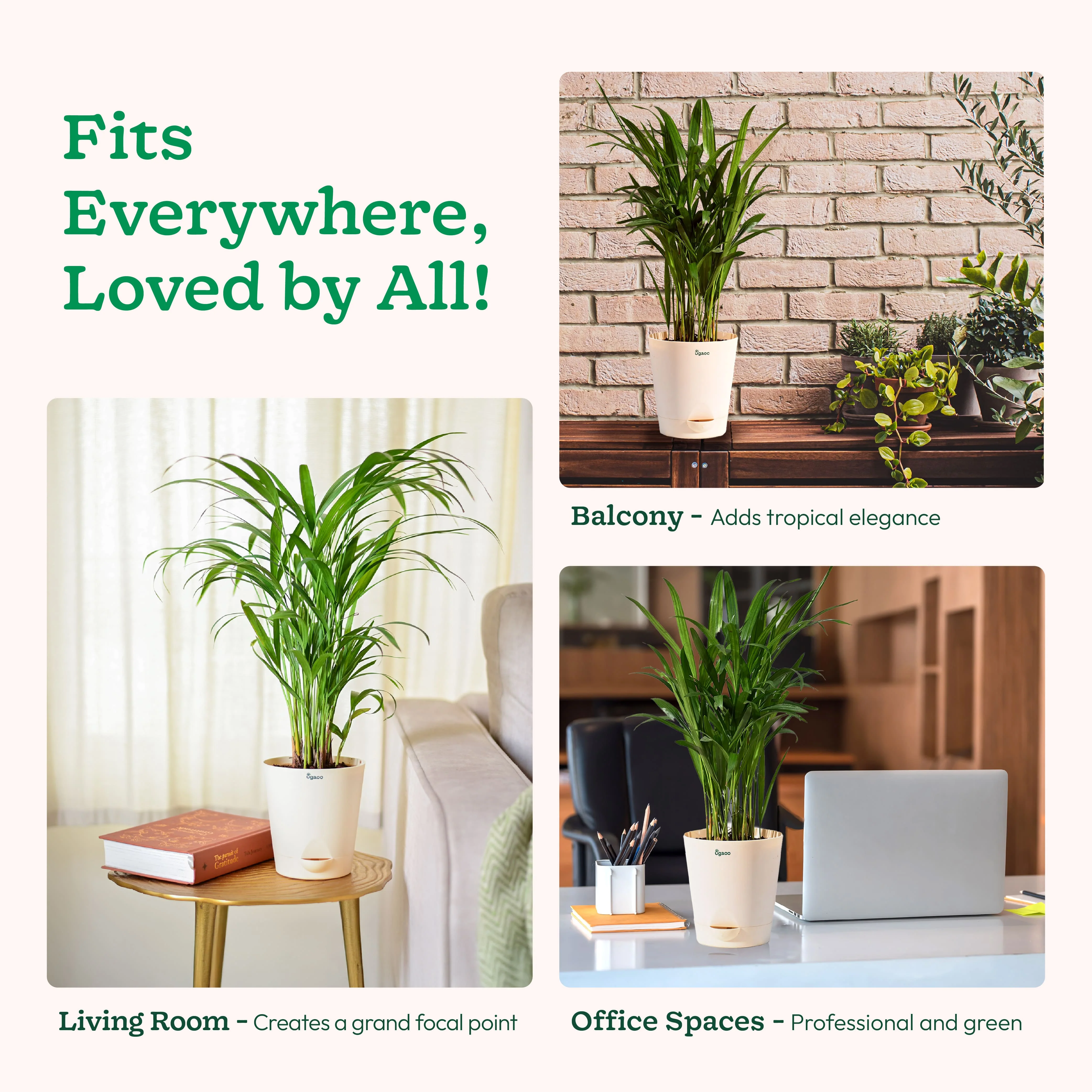 Product image 115