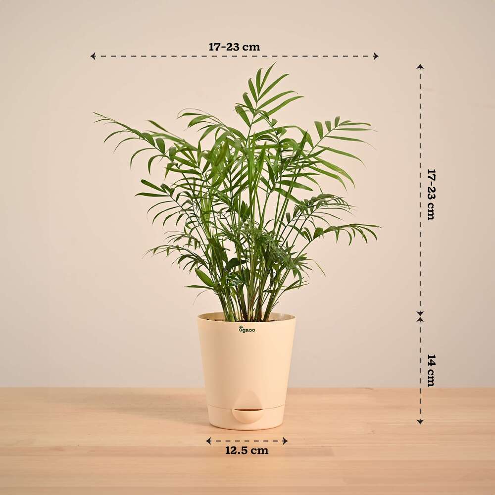 Product image 124