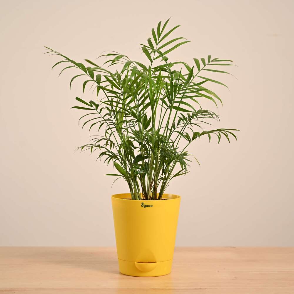 Product image 125