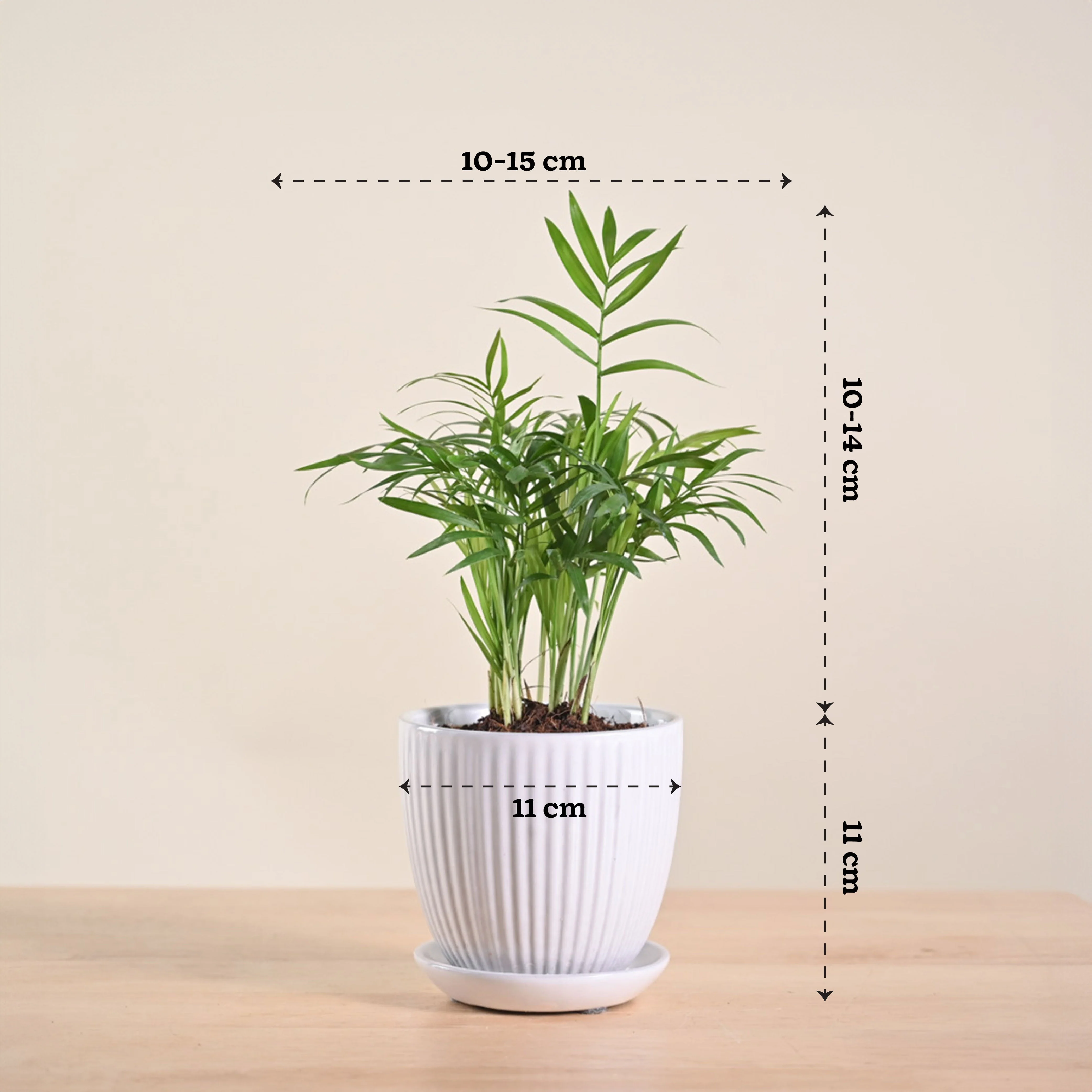 Product image 187