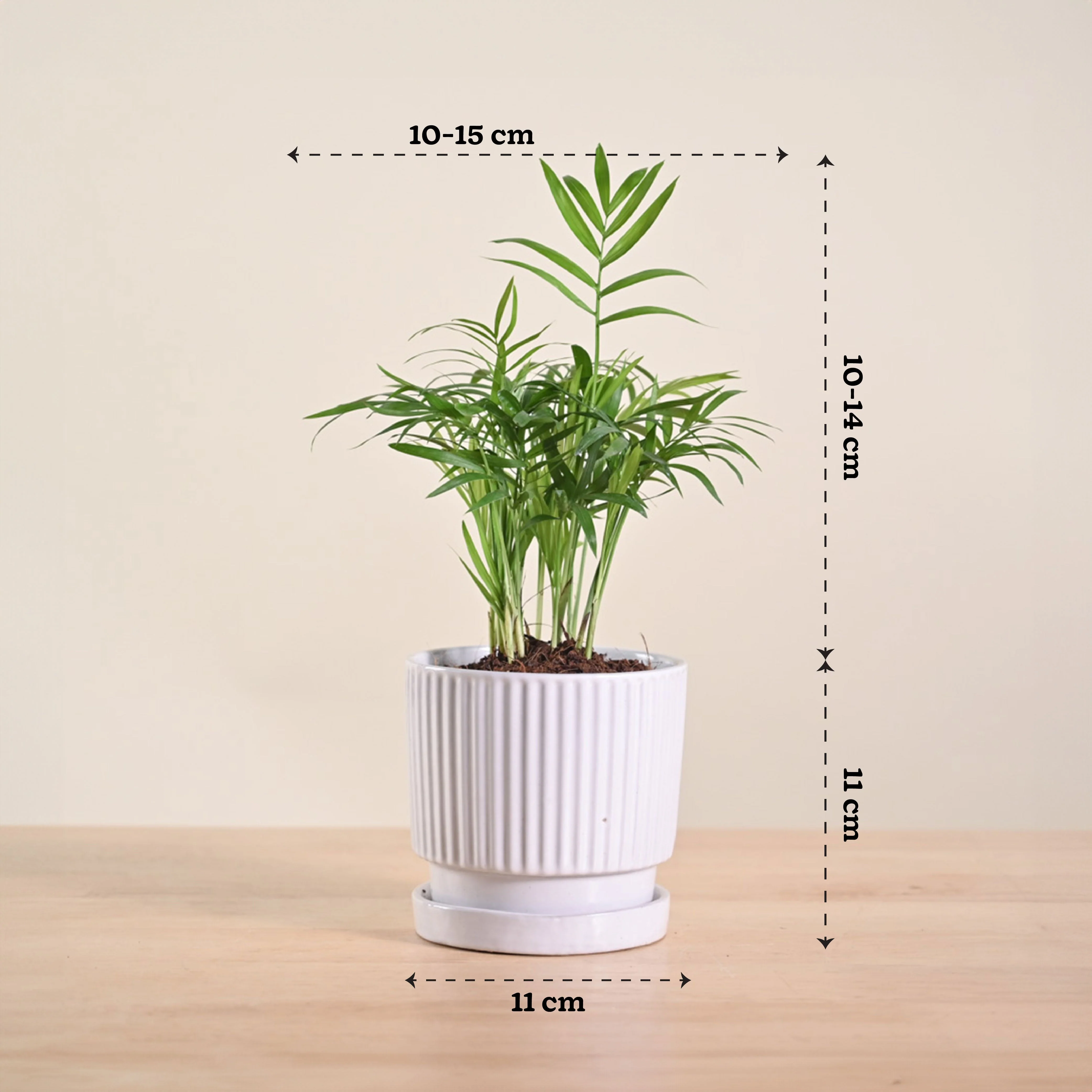 Product image 203