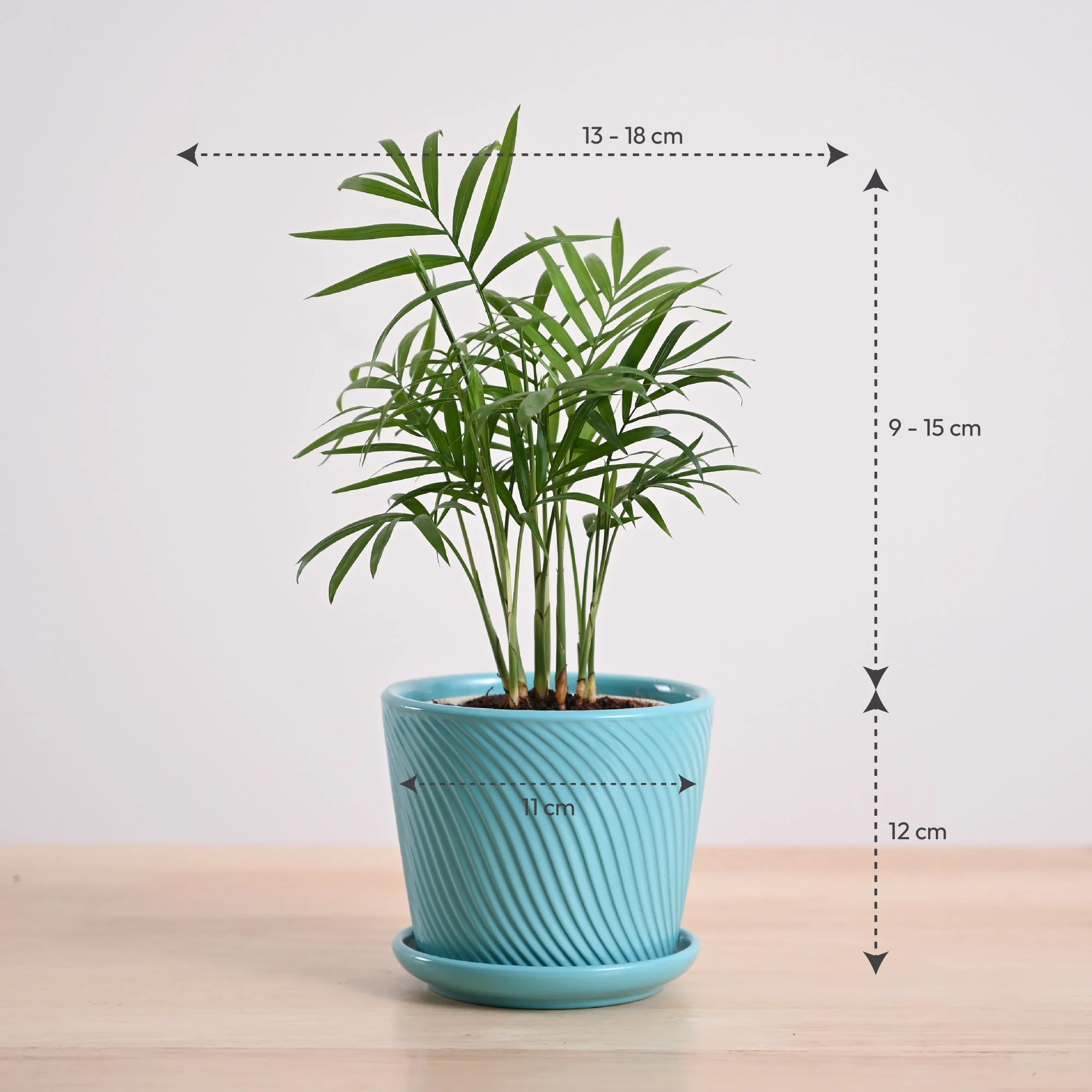 Product image 83