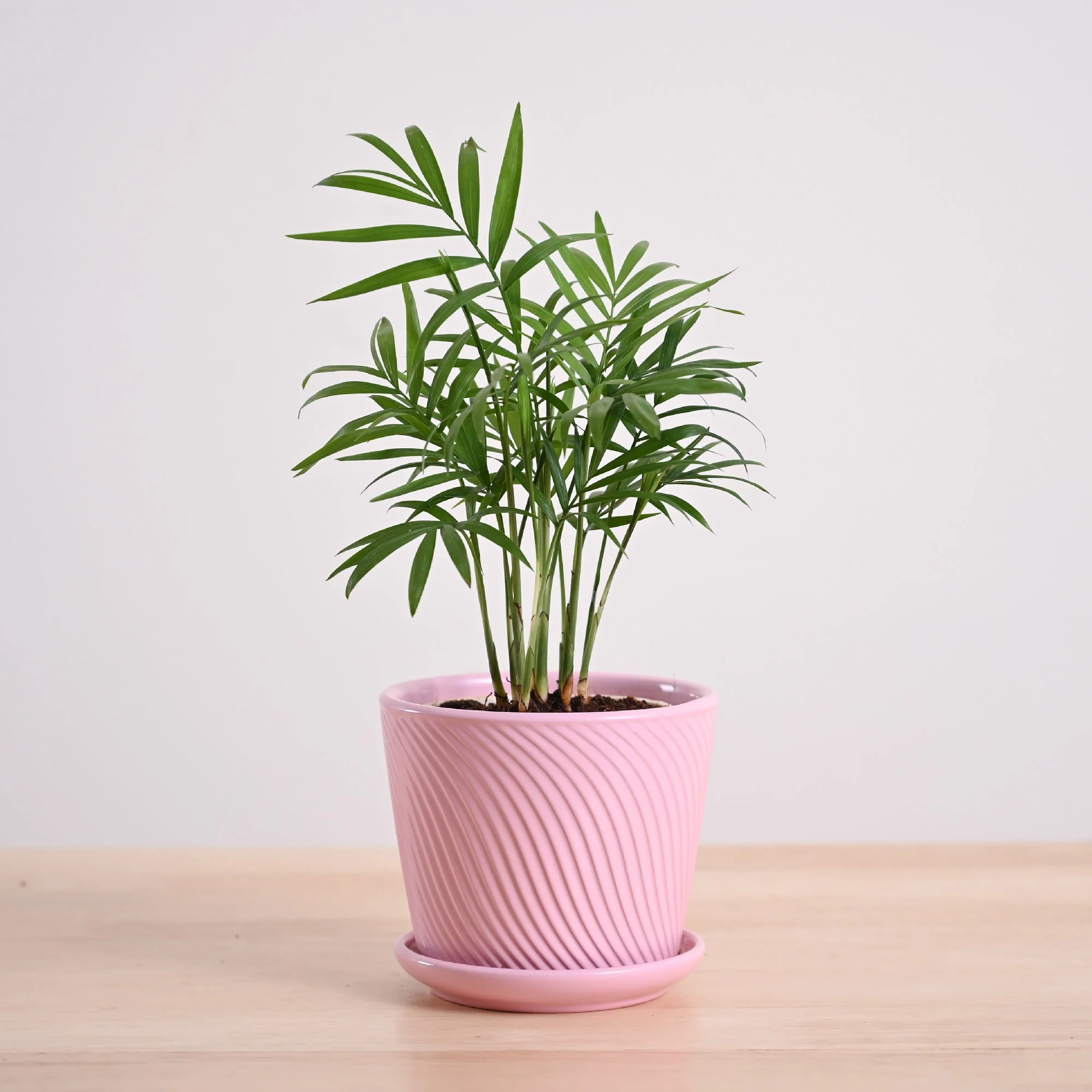 Product image 90