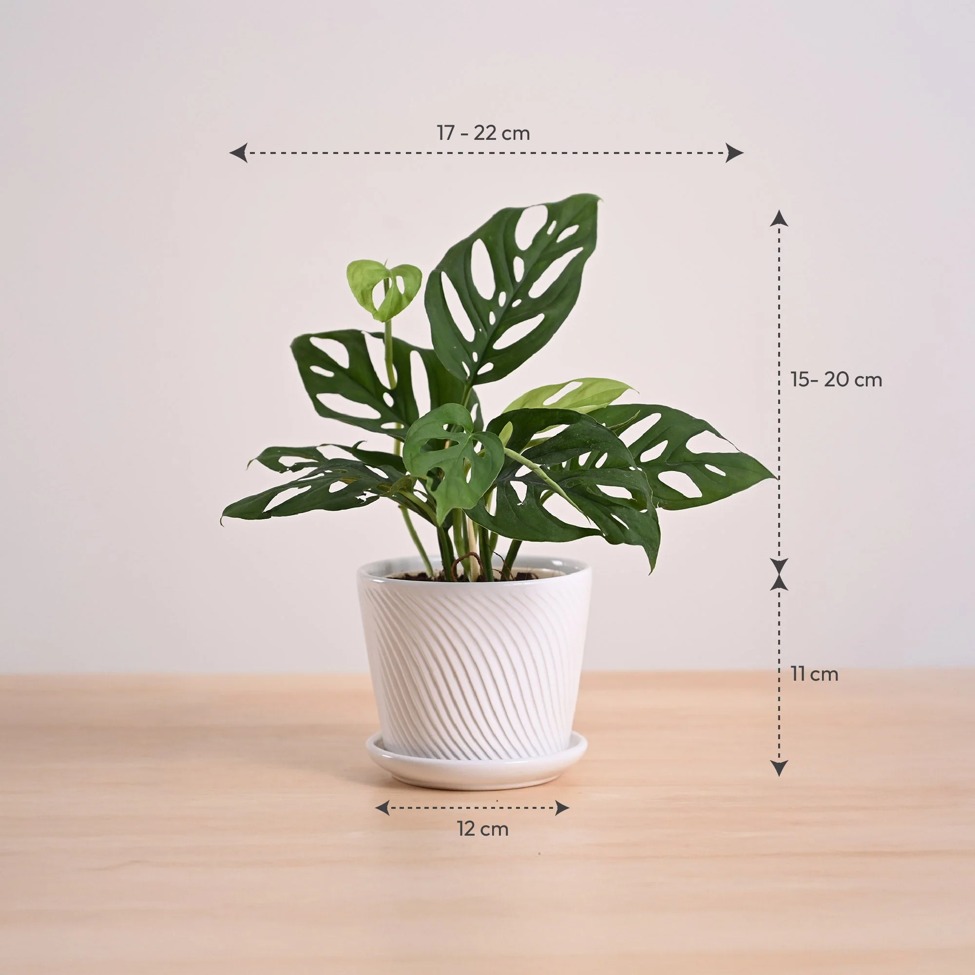 Product image 108