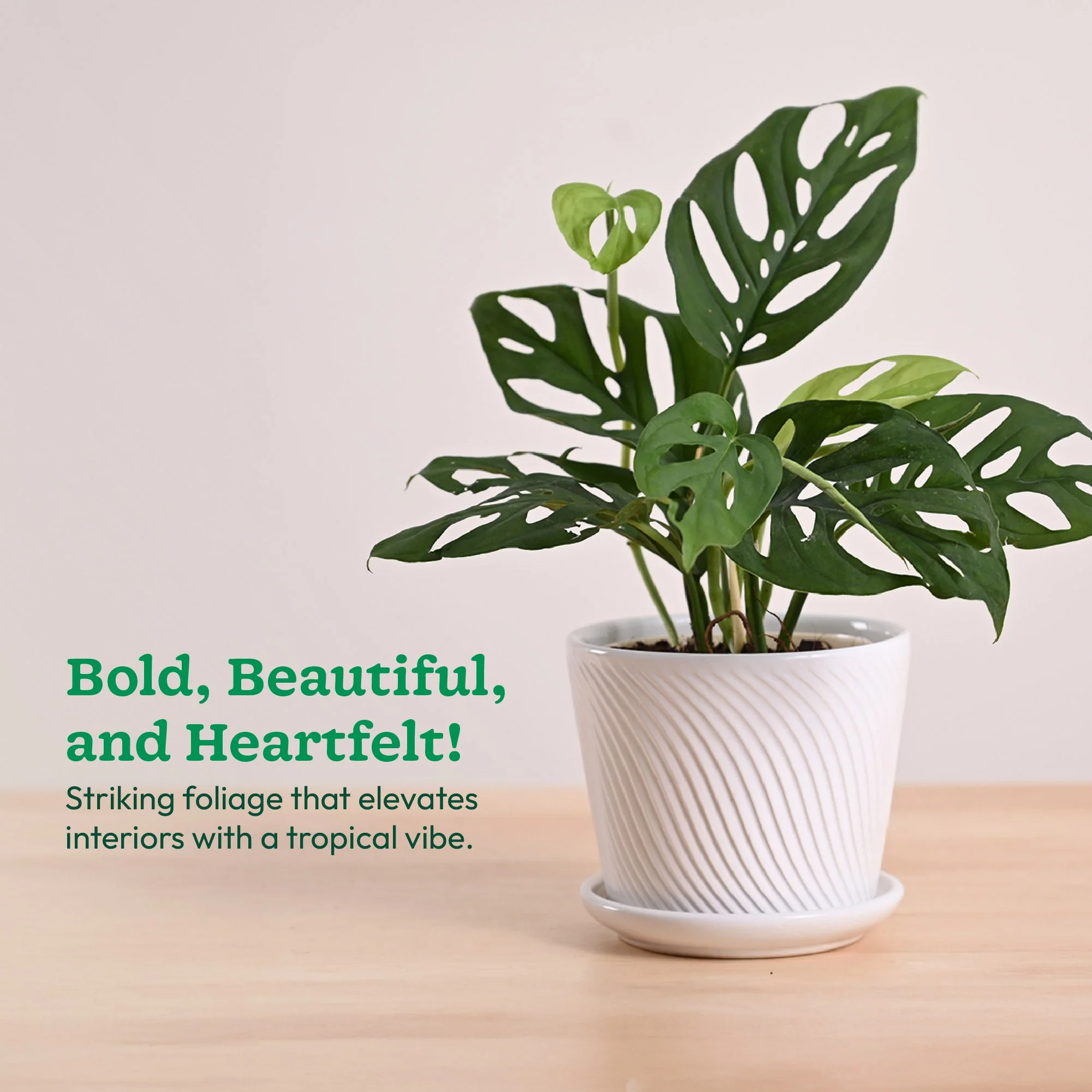 Product image 116