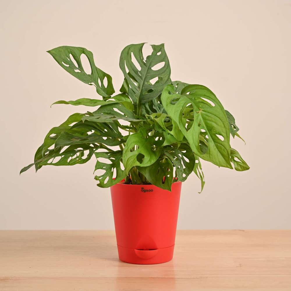 Product image 141