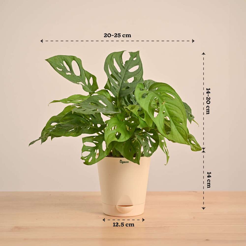 Product image 150