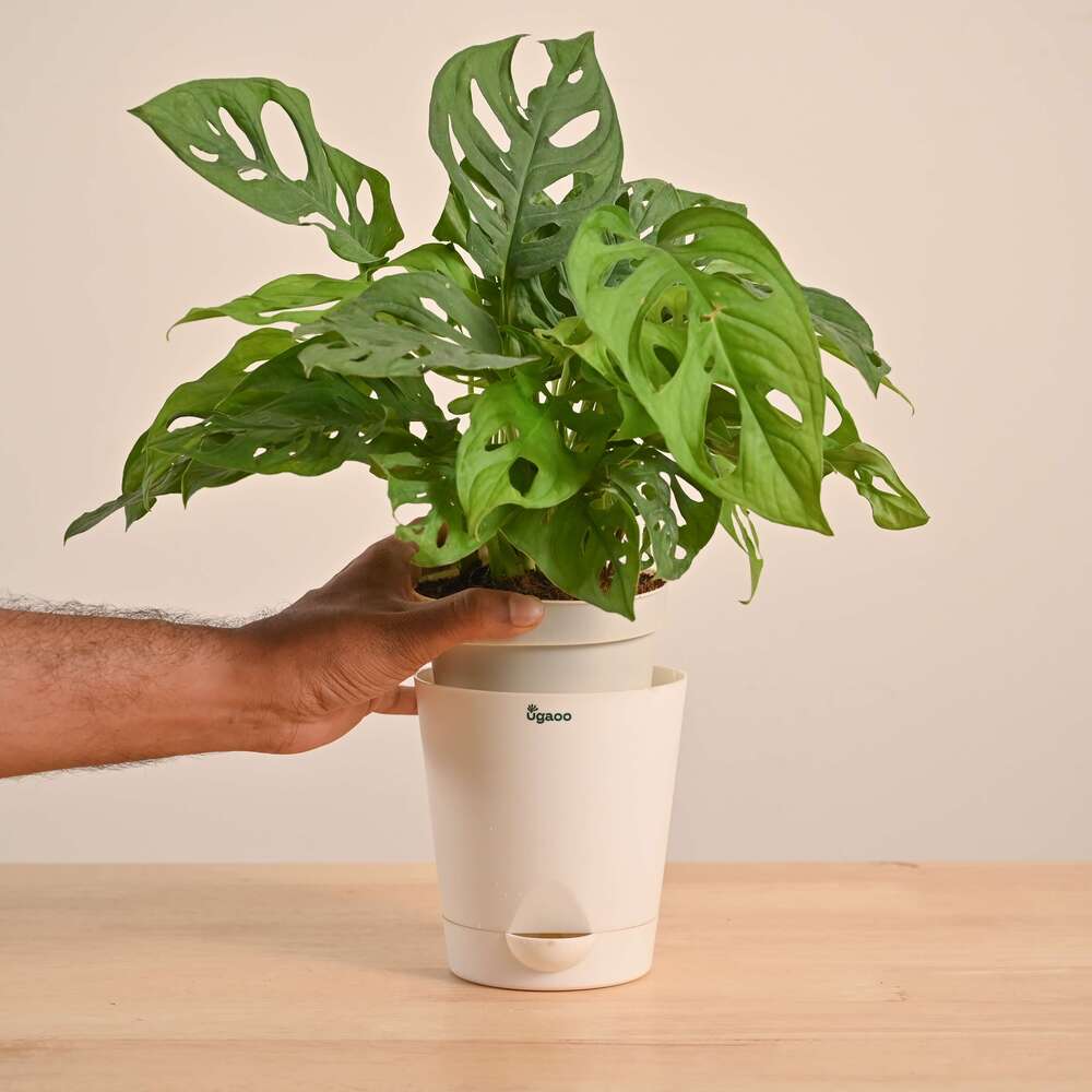 Product image 159