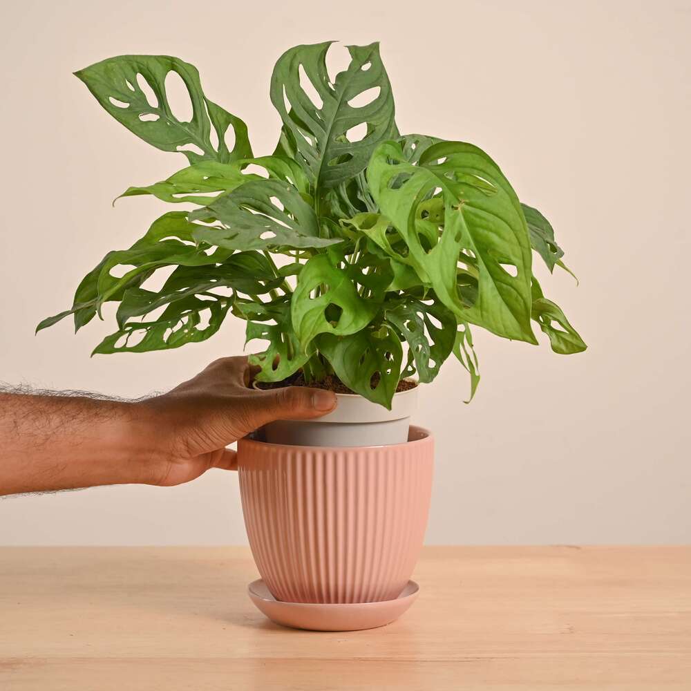 Product image 179