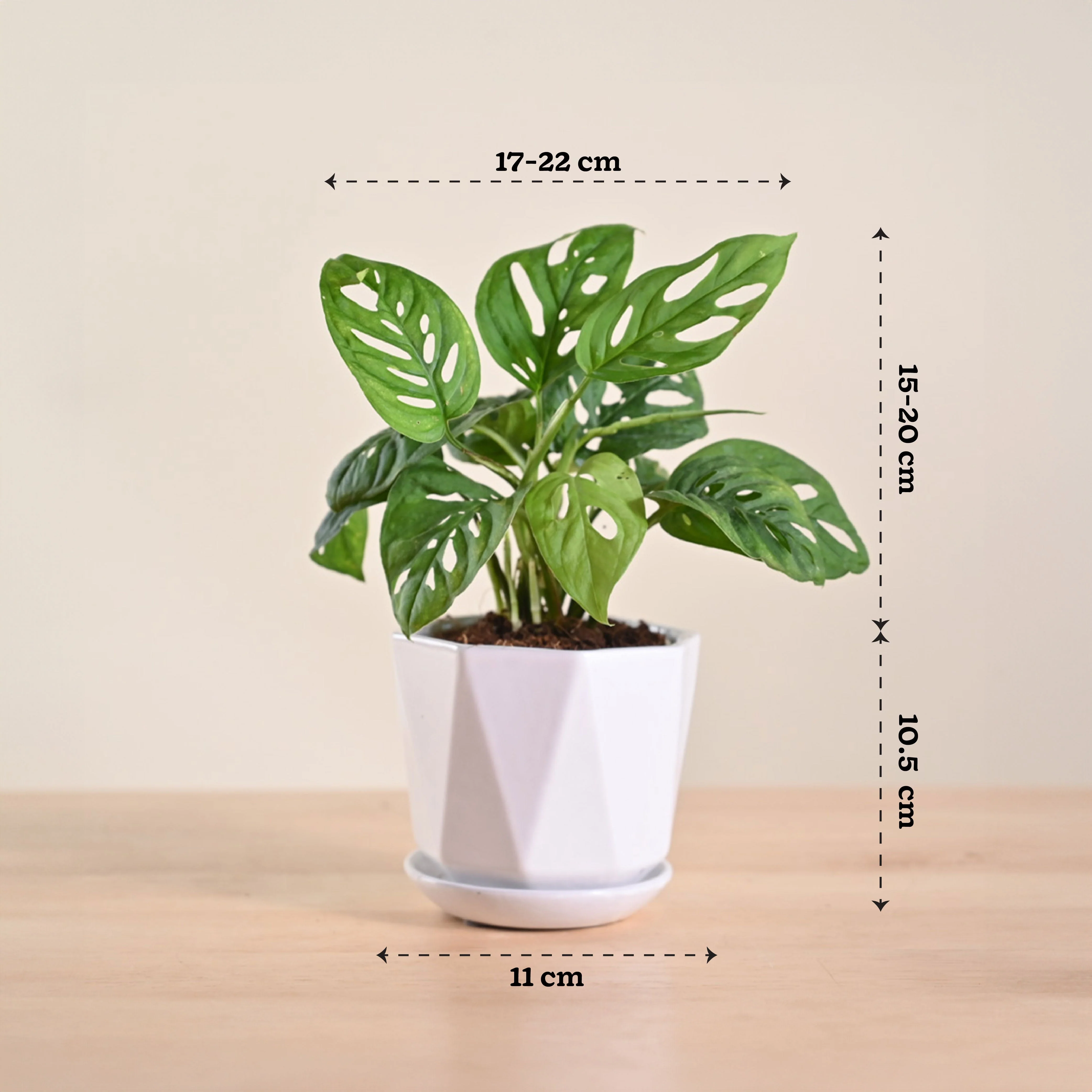 Product image 184