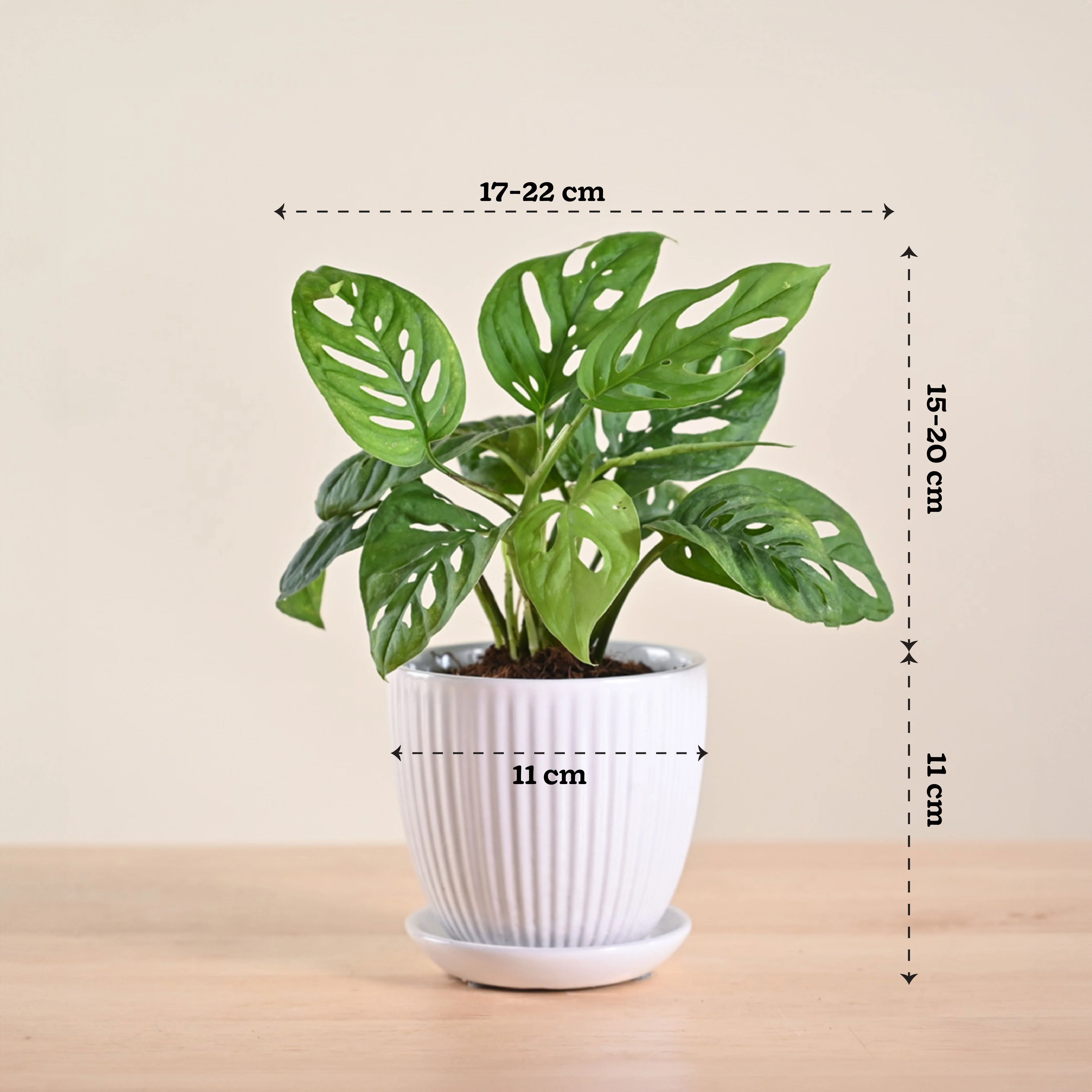 Product image 200