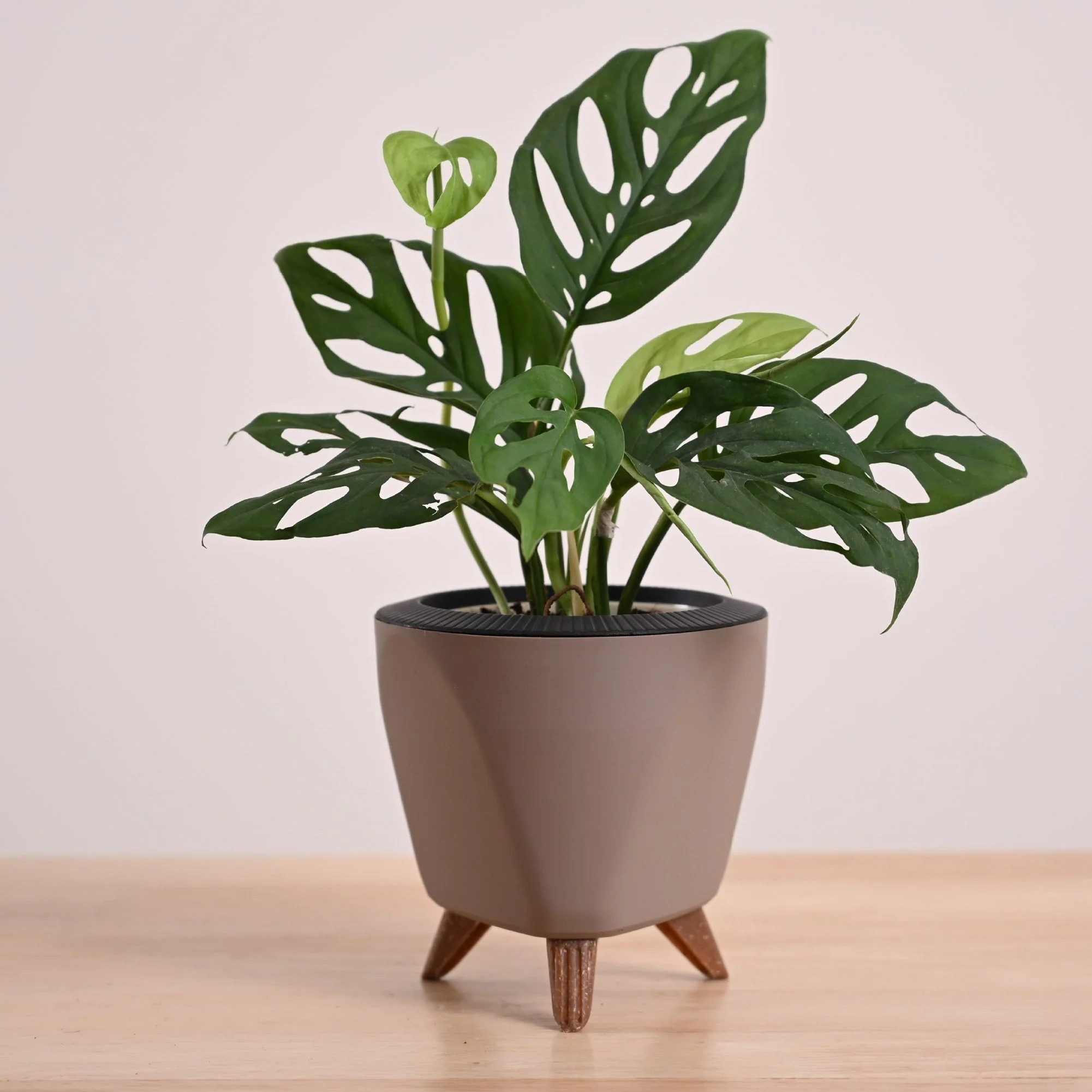 Product image 85