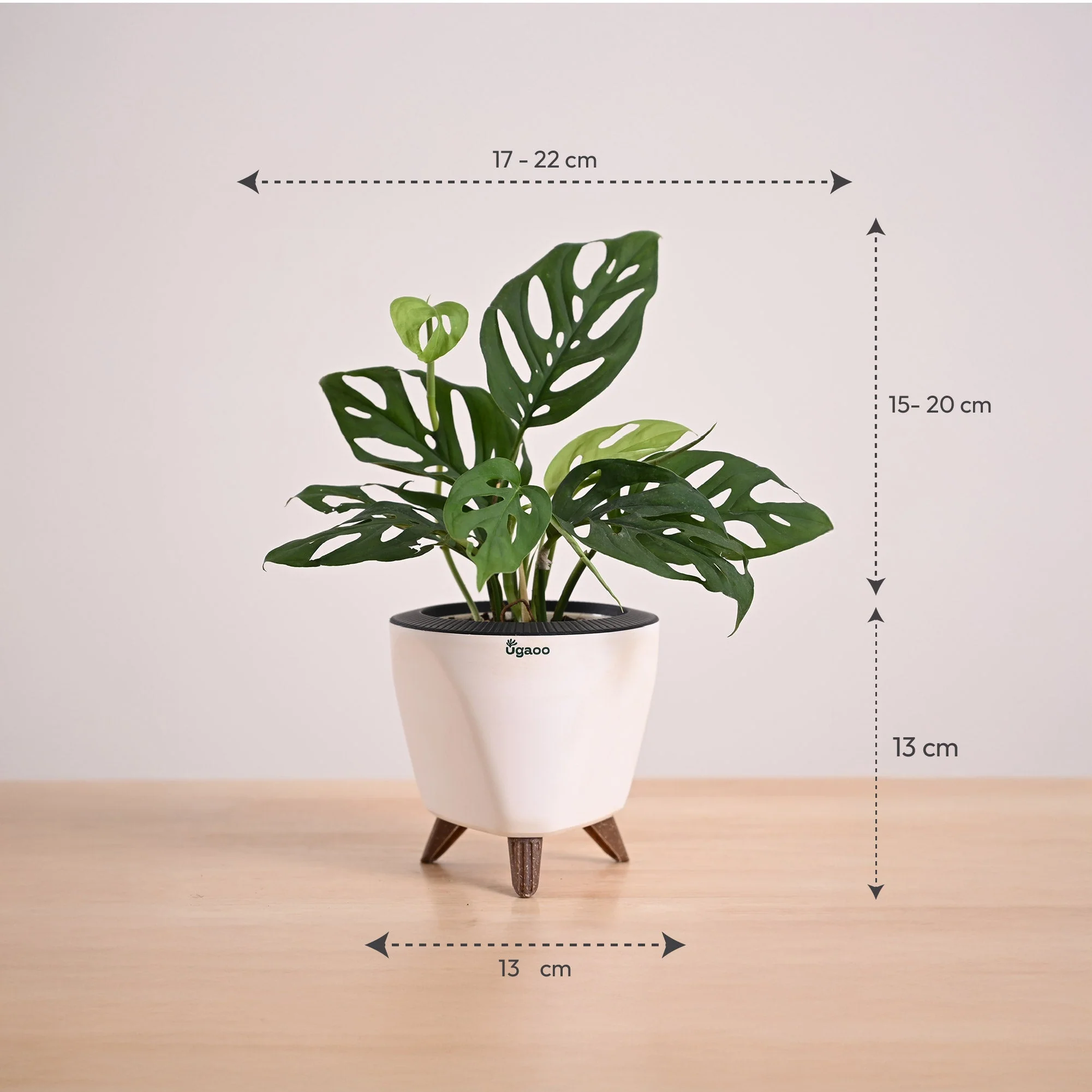 Product image 90