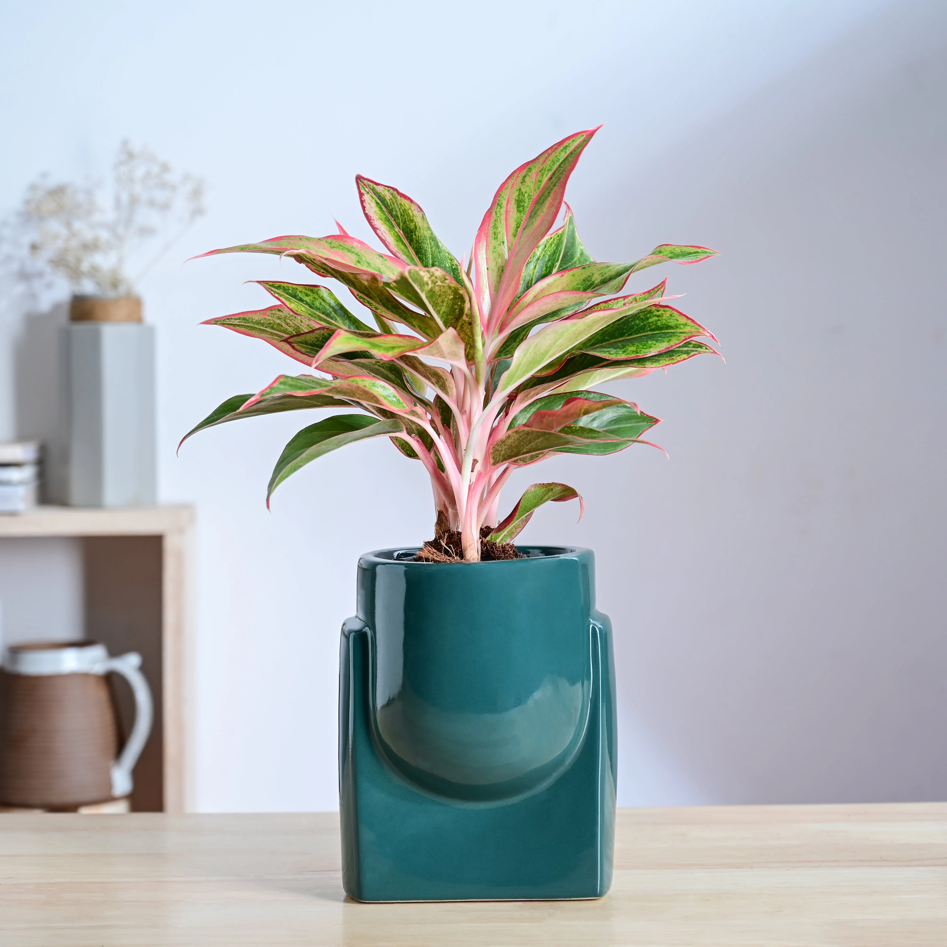 Product image 73