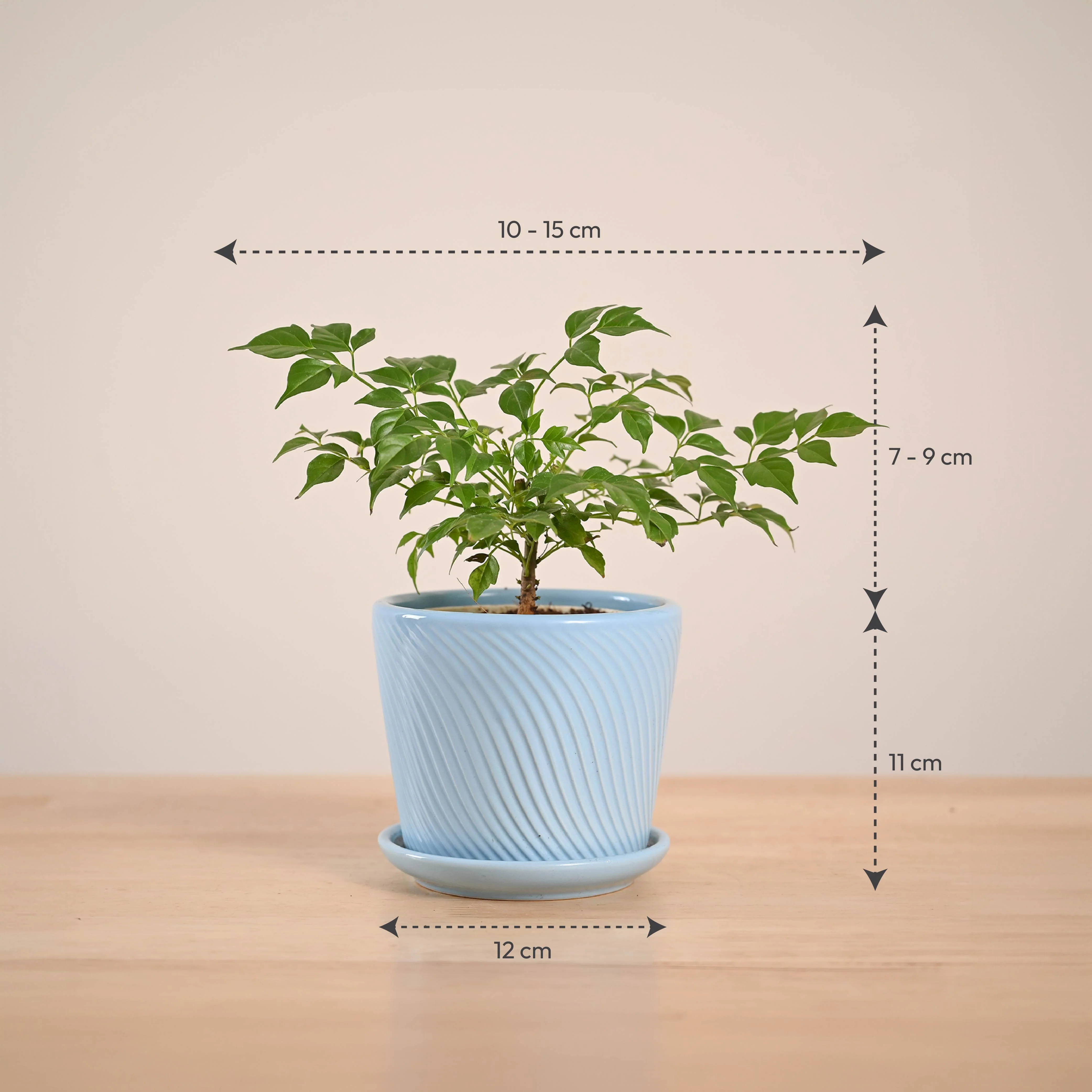 Product image 85