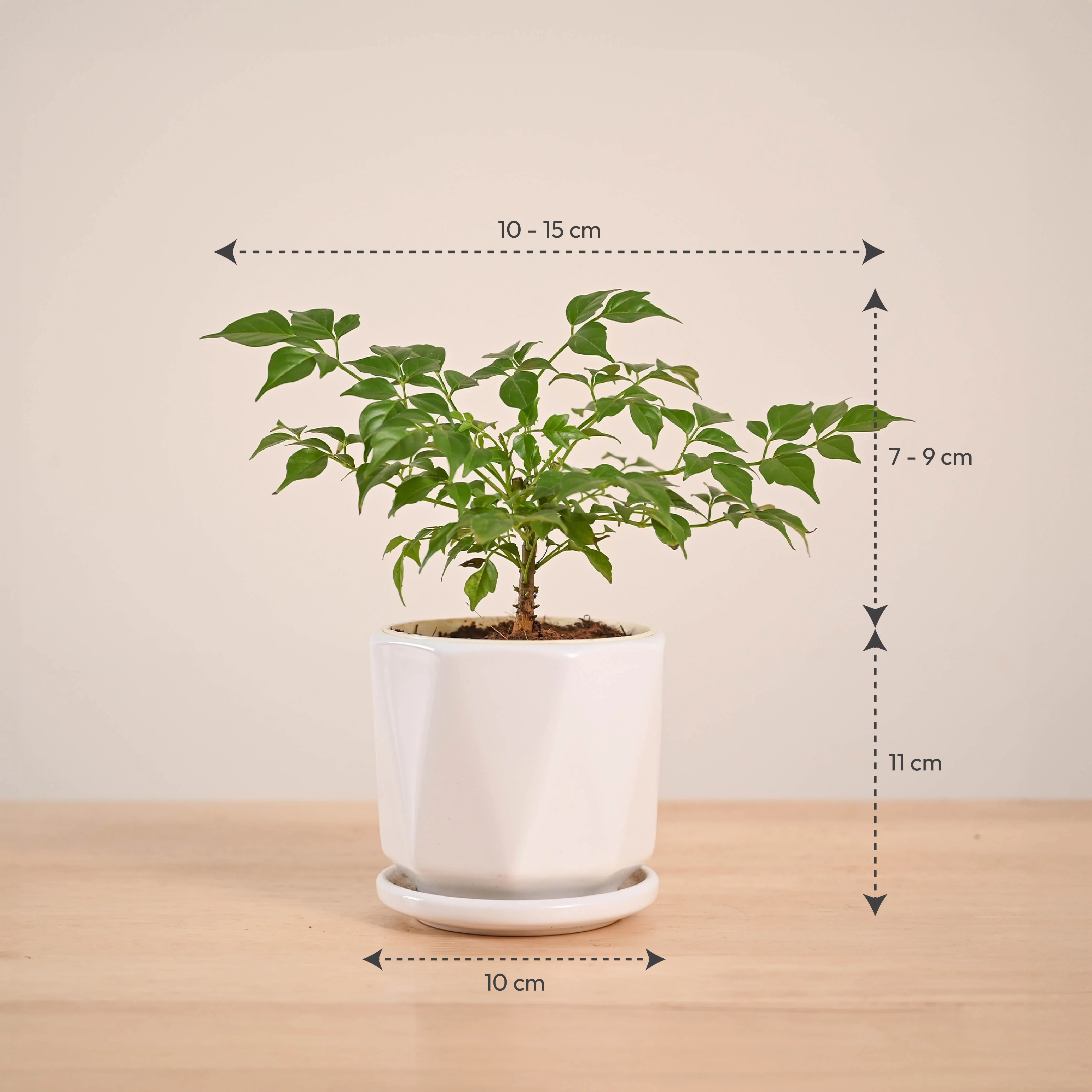 Product image 97