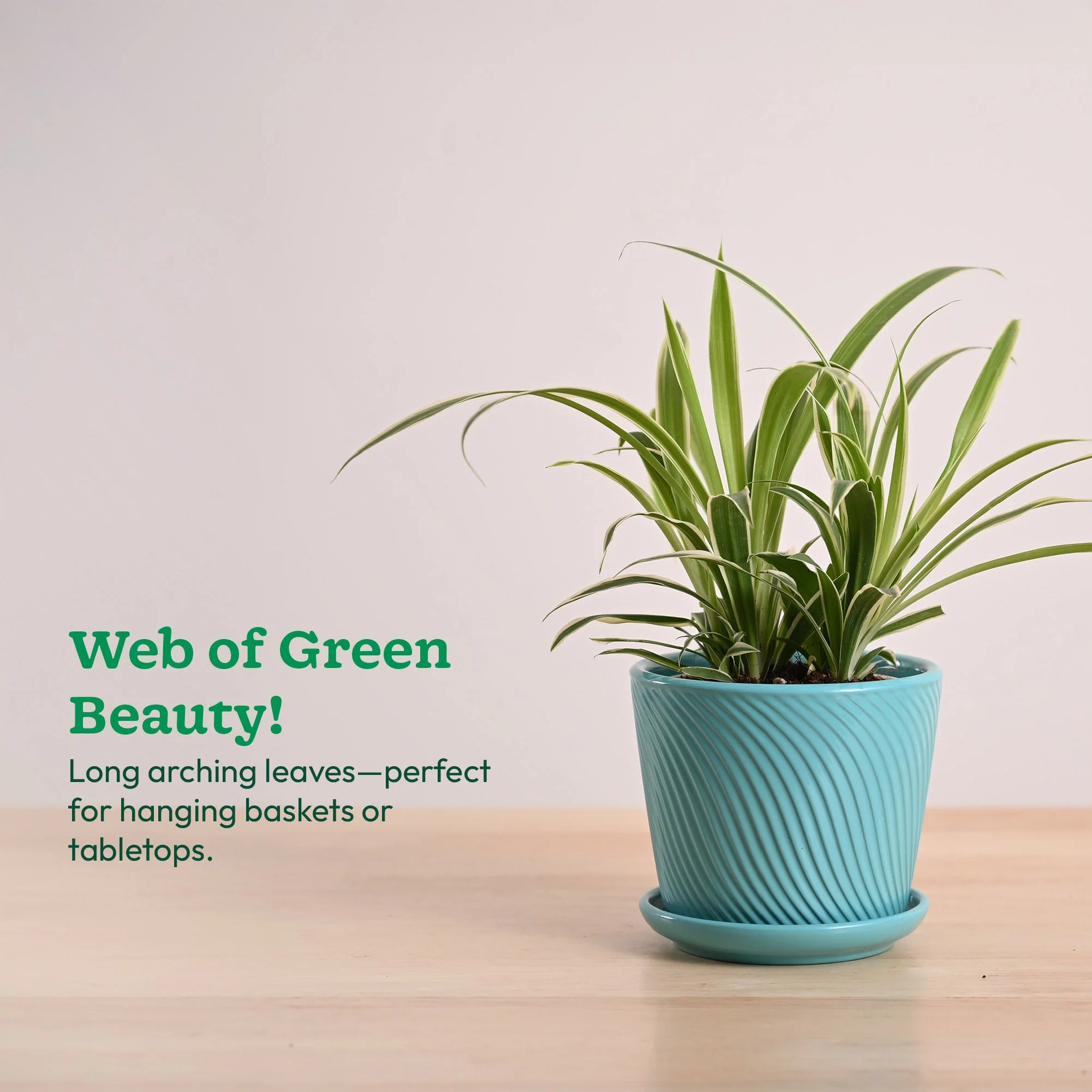 Product image 130
