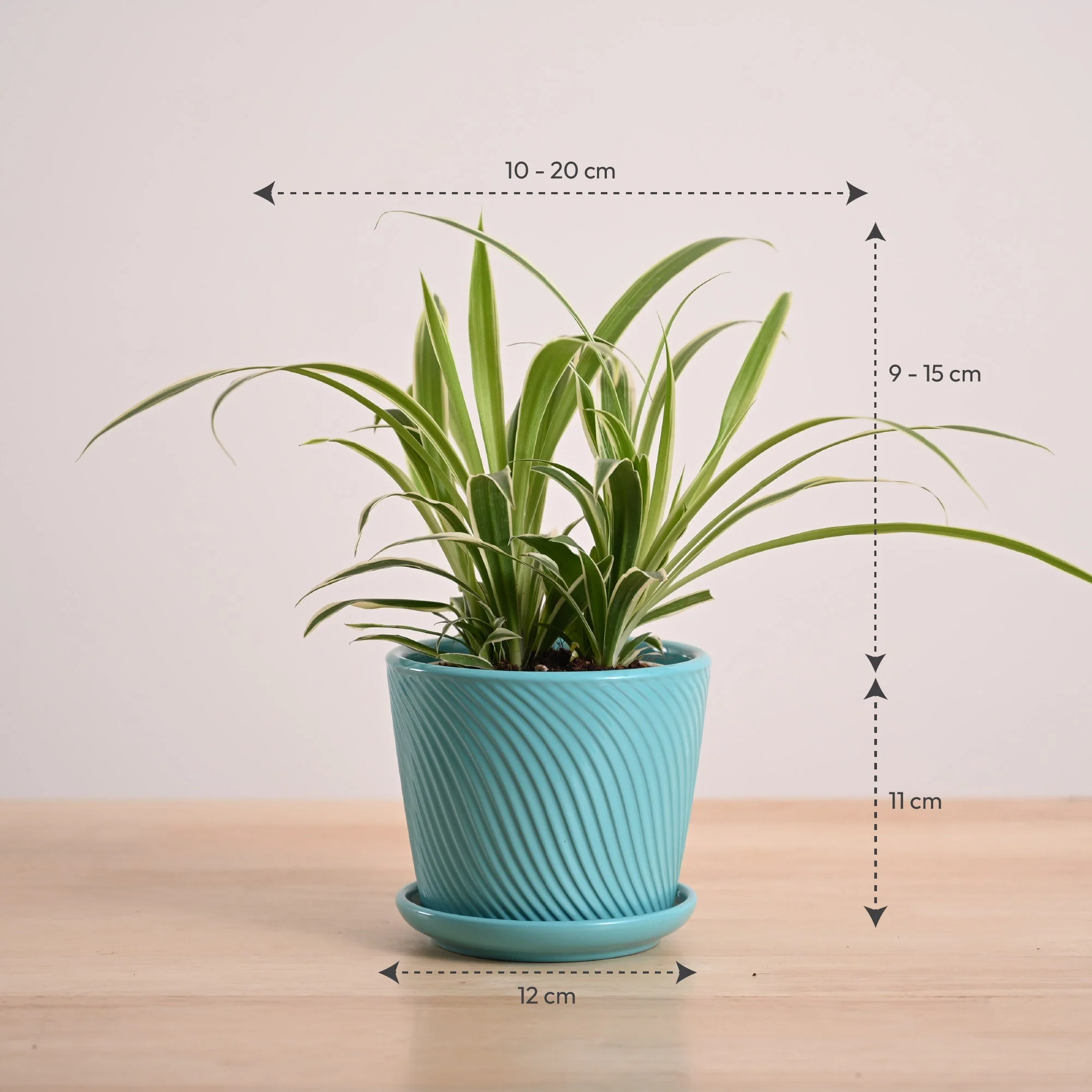 Product image 152