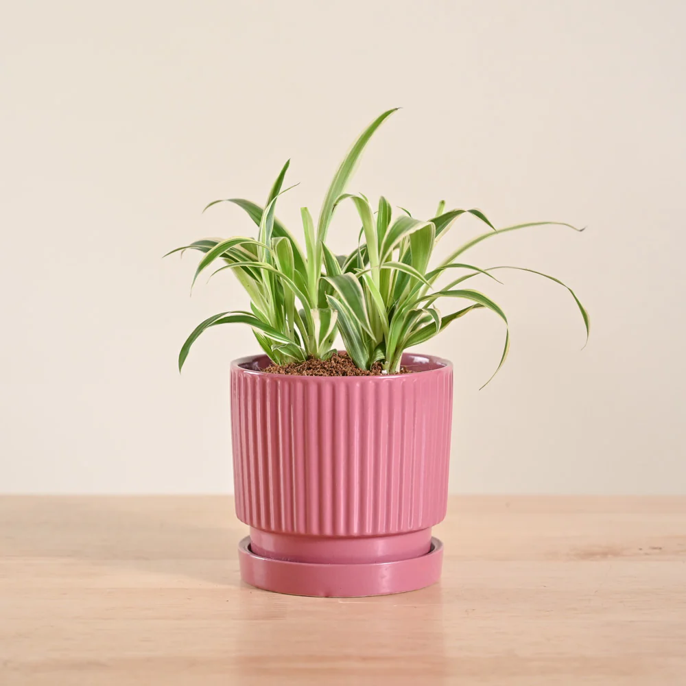 Product image 199