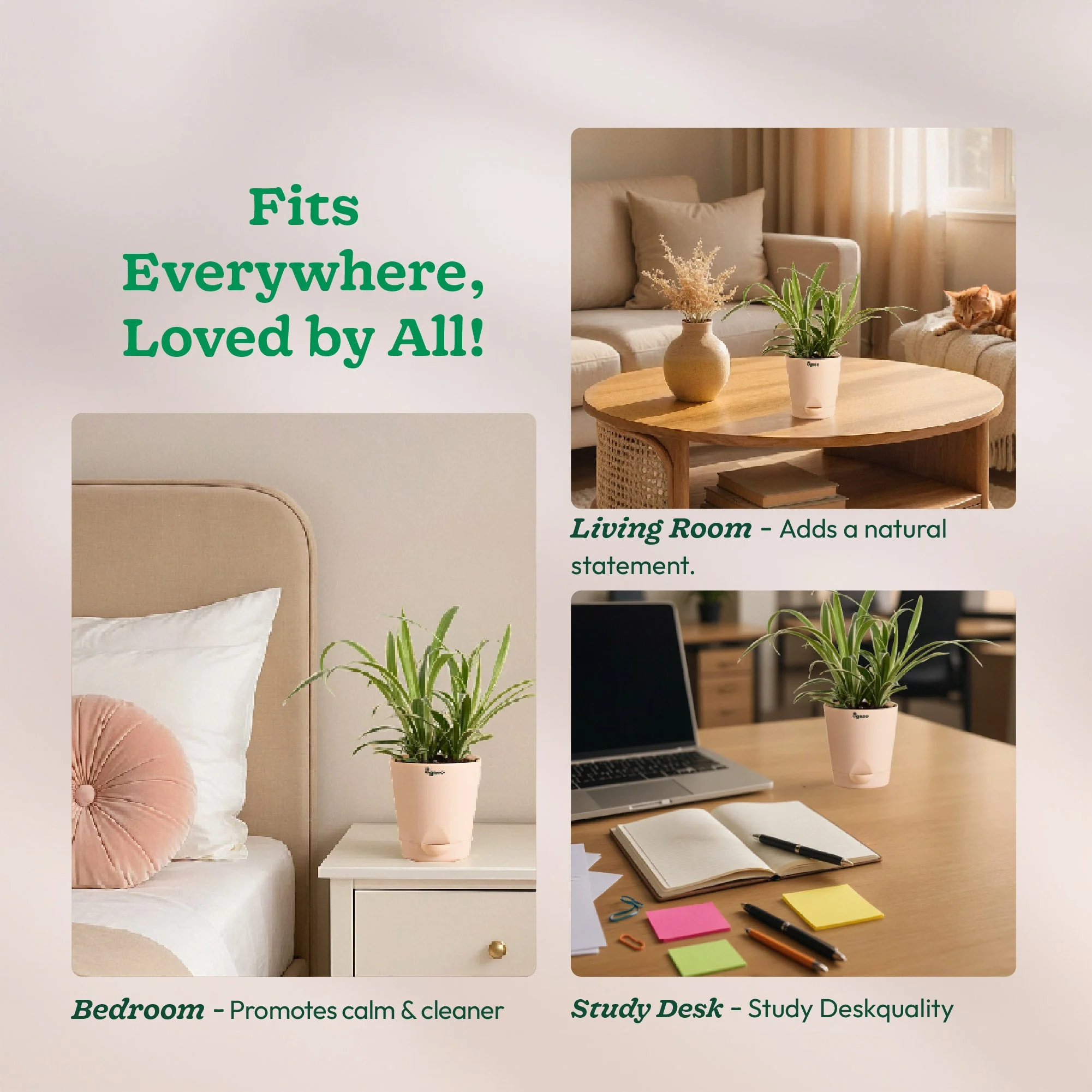 Product image 217