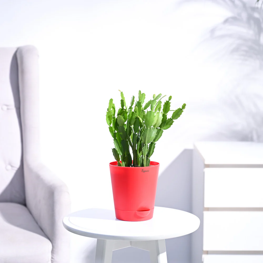 Product image 112