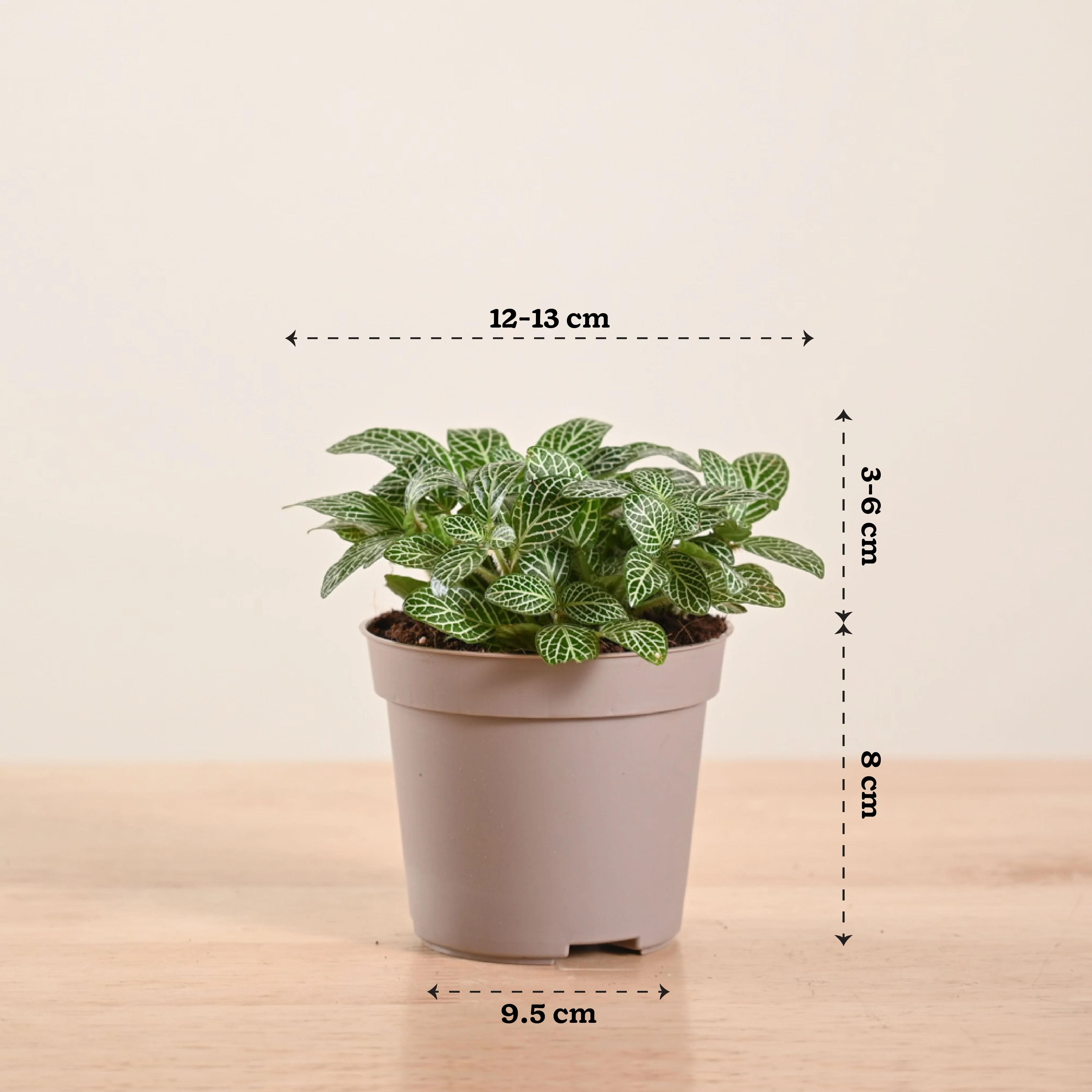 Product image 122
