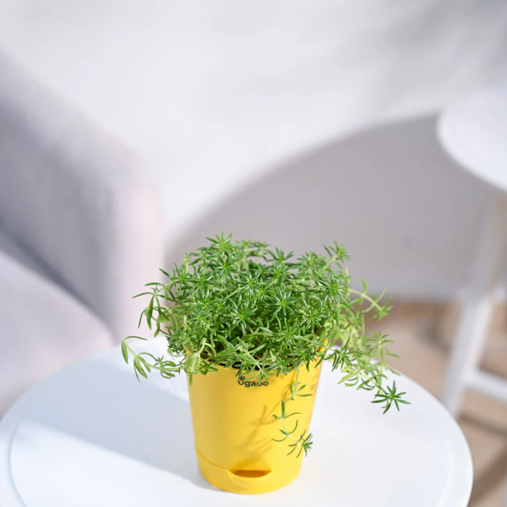 Product image 92