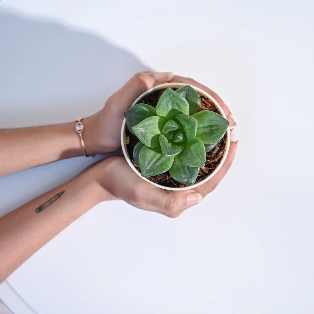 Product image 76