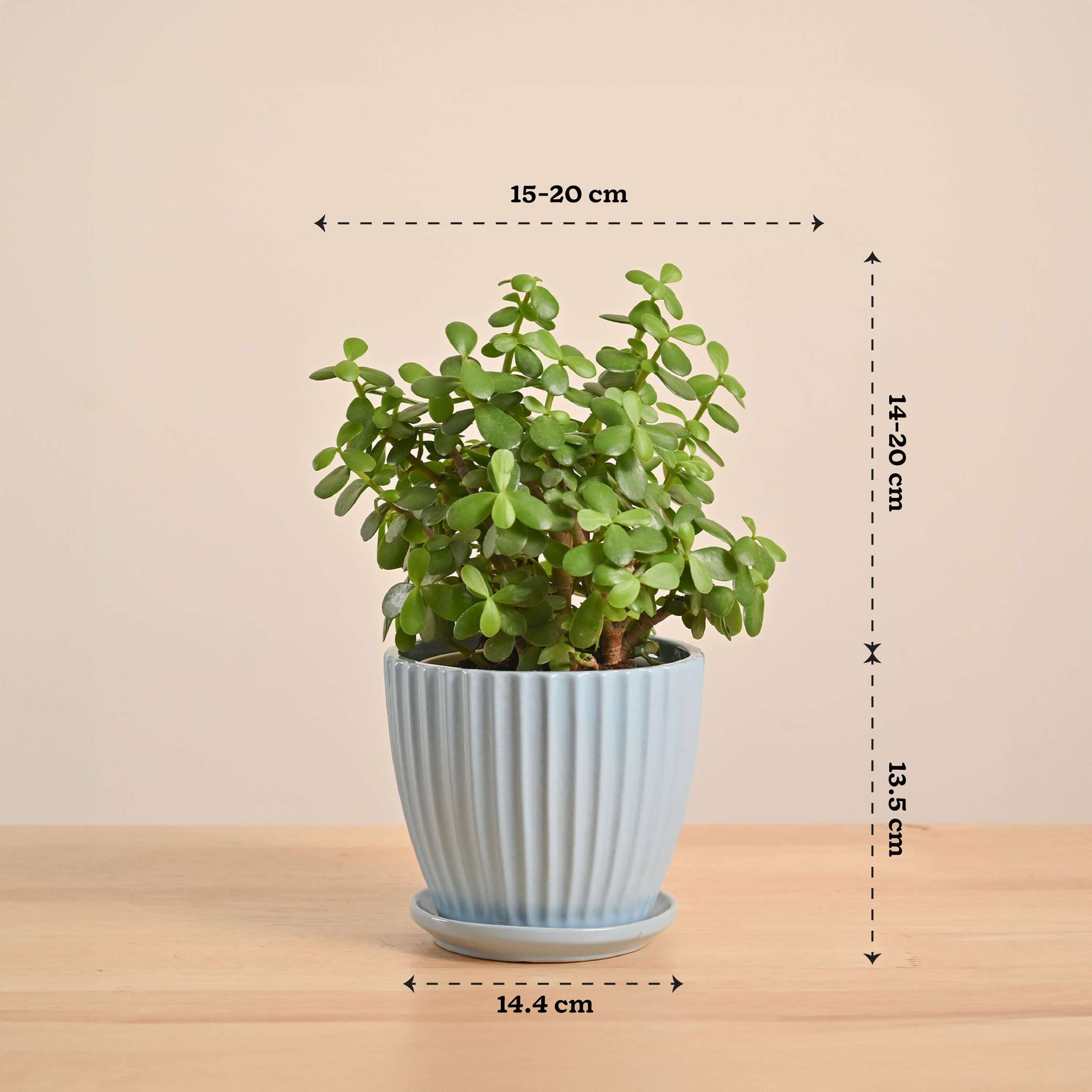 Product image 132