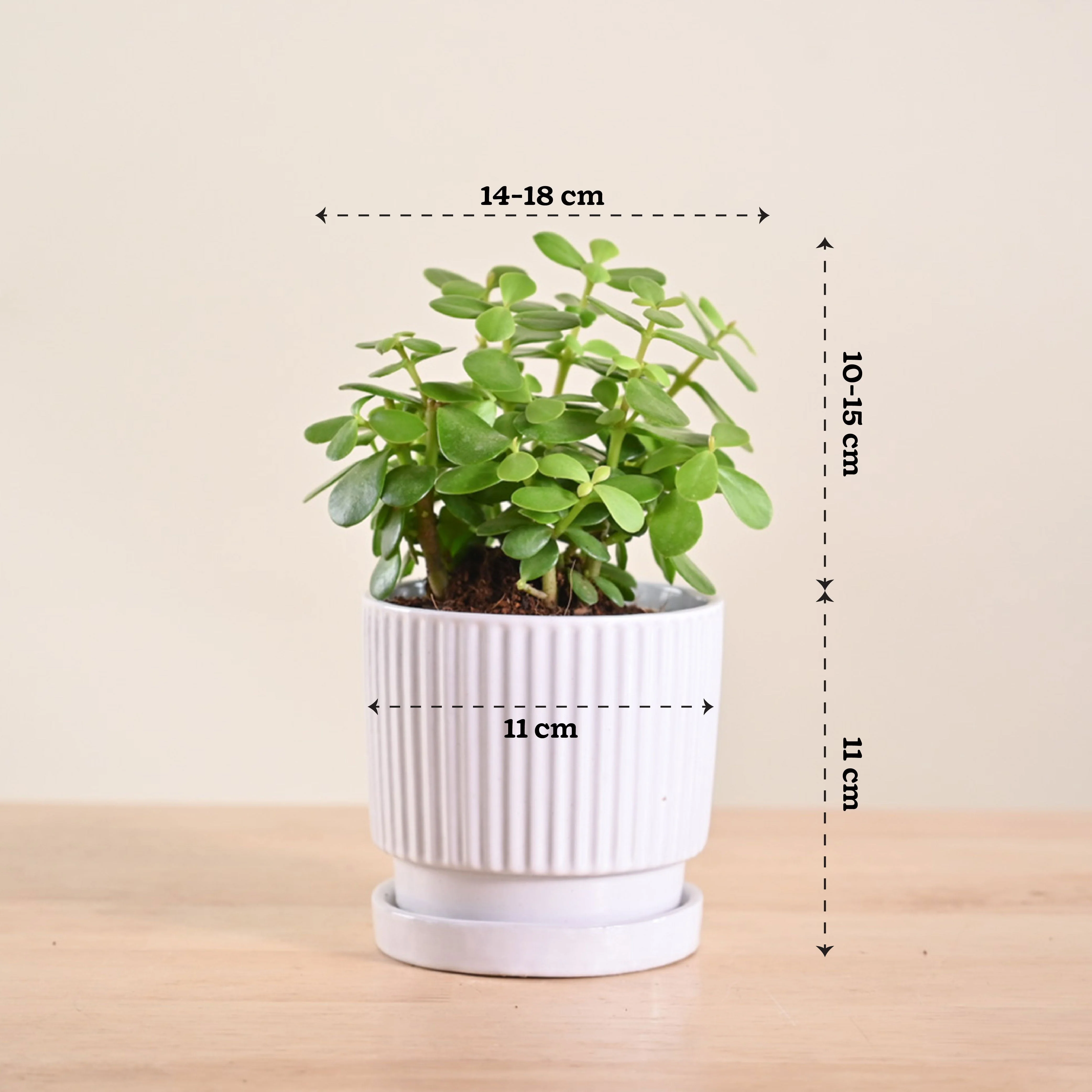 Product image 189
