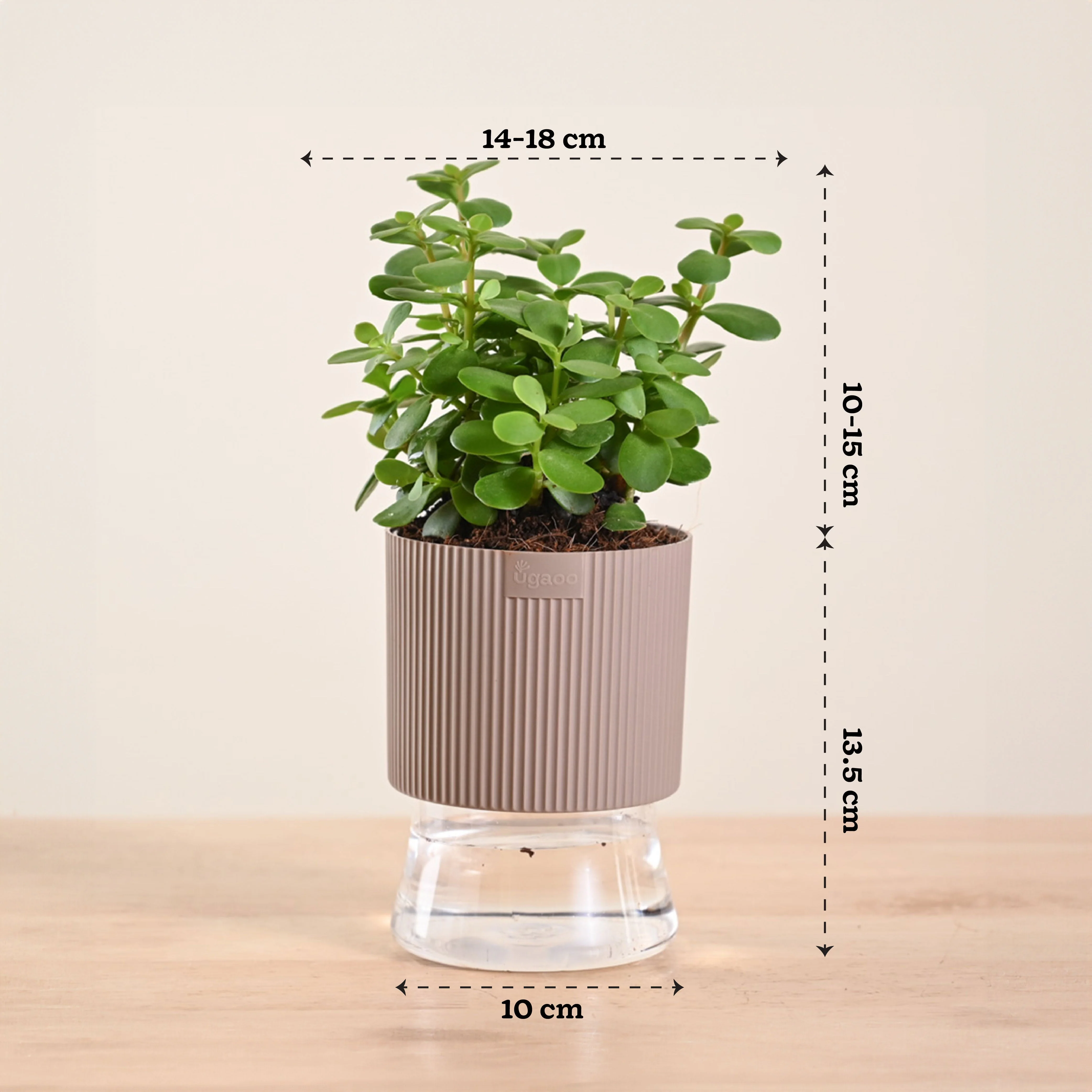 Product image 201