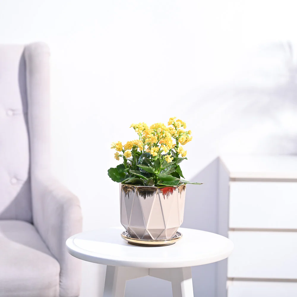 Product image 107