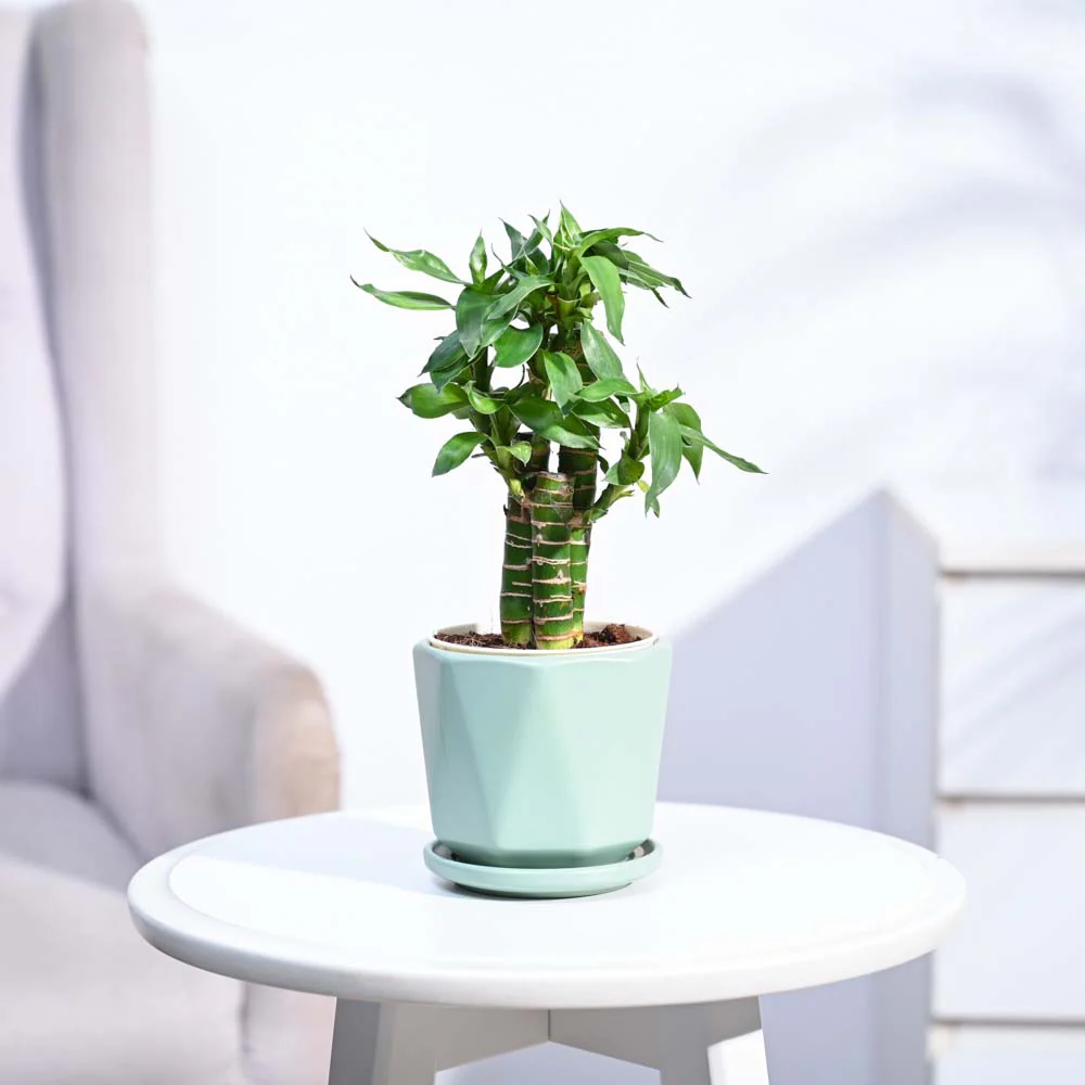 Product image 134
