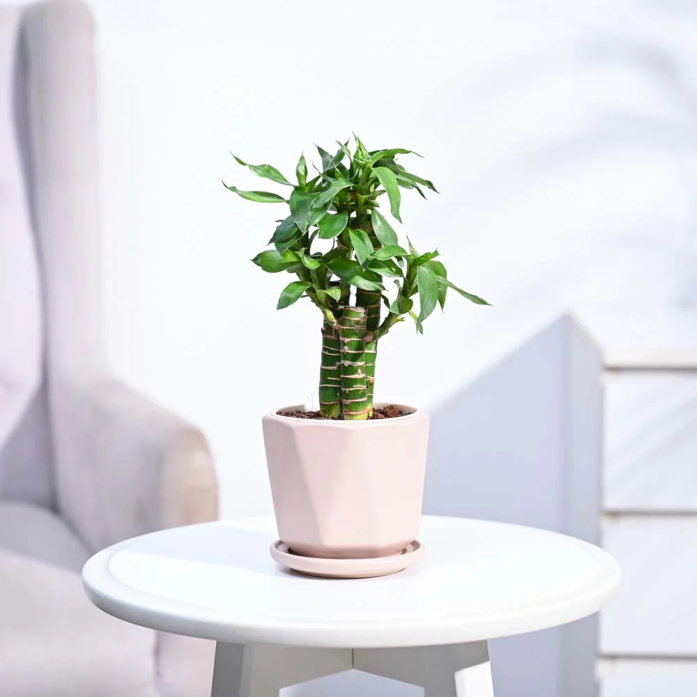 Product image 148