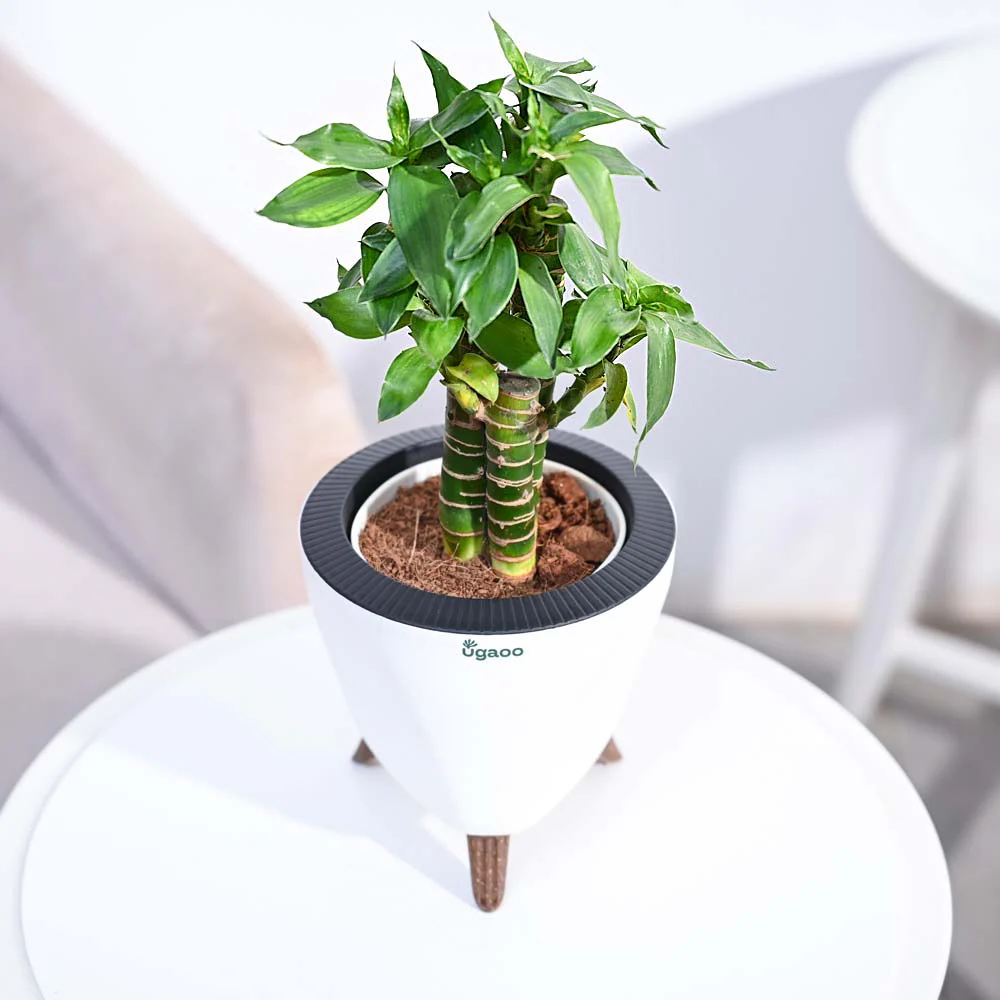 Product image 165