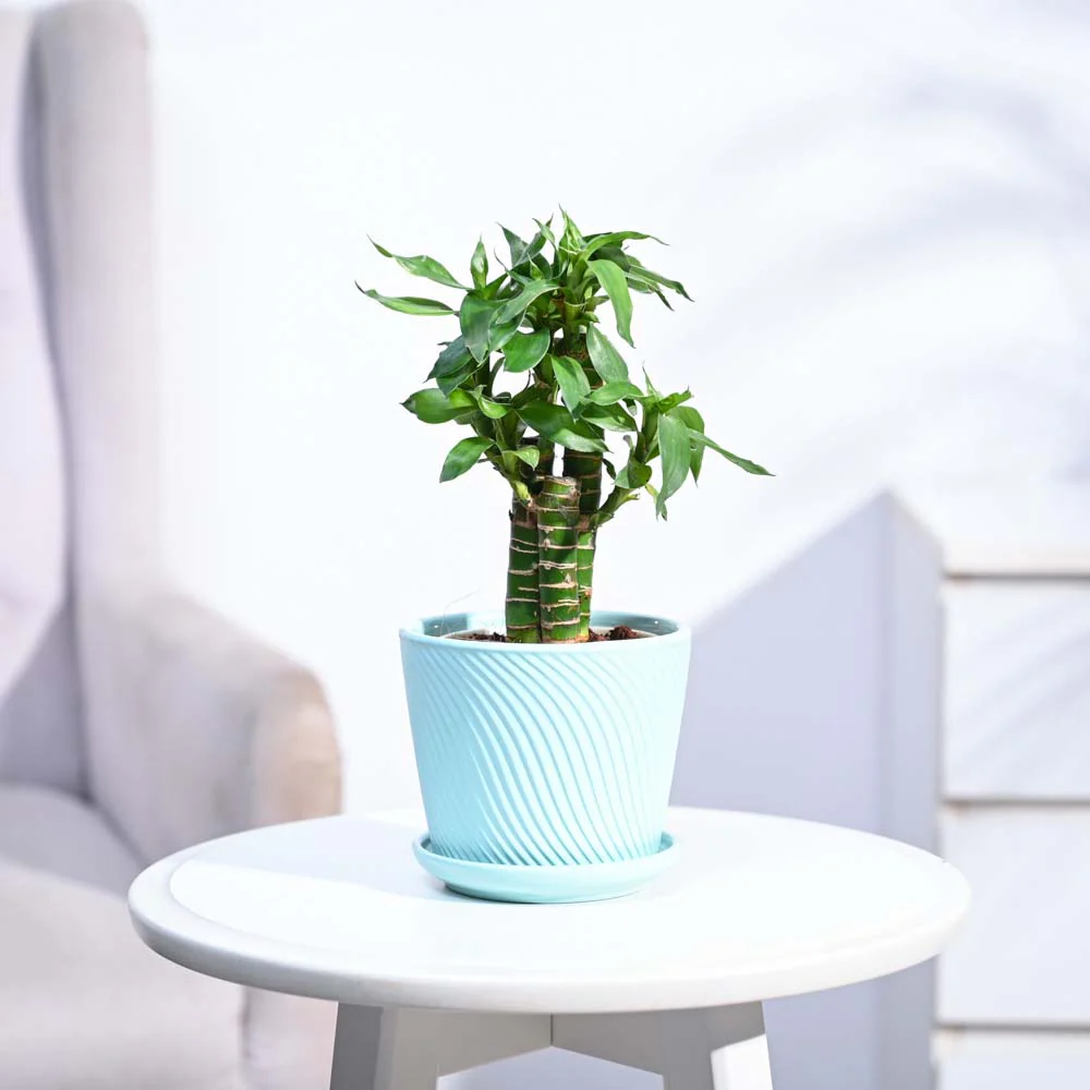 Product image 169
