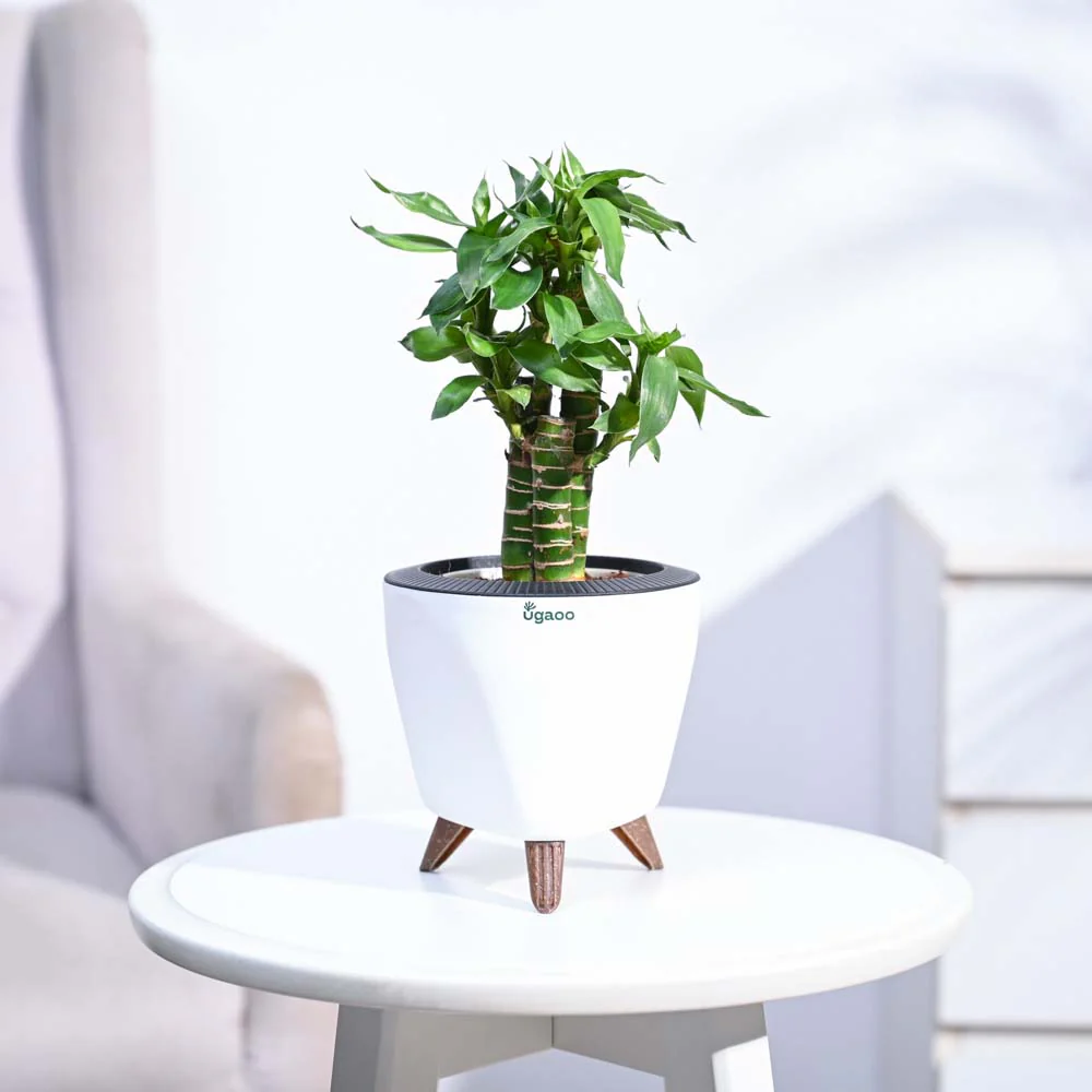 Product image 92