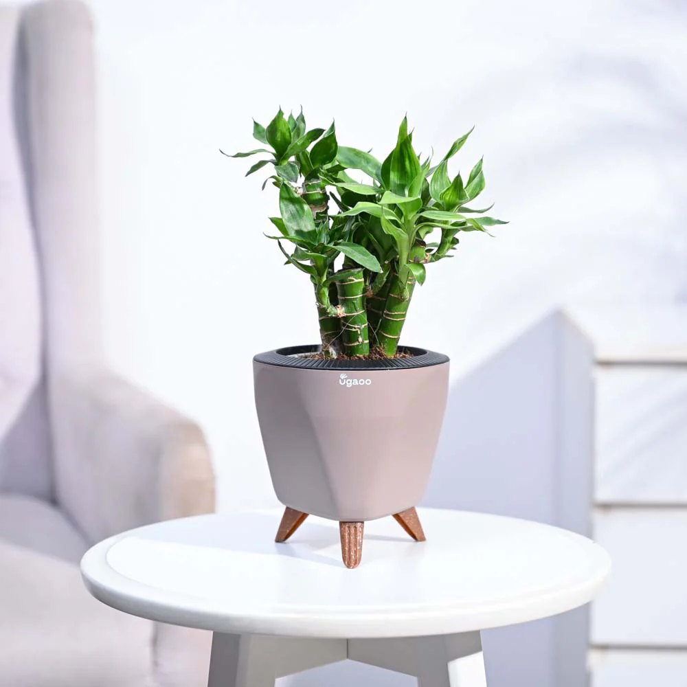 Product image 106