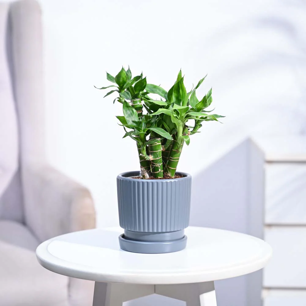 Product image 120