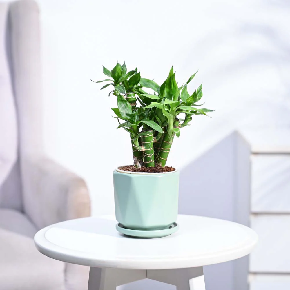 Product image 134