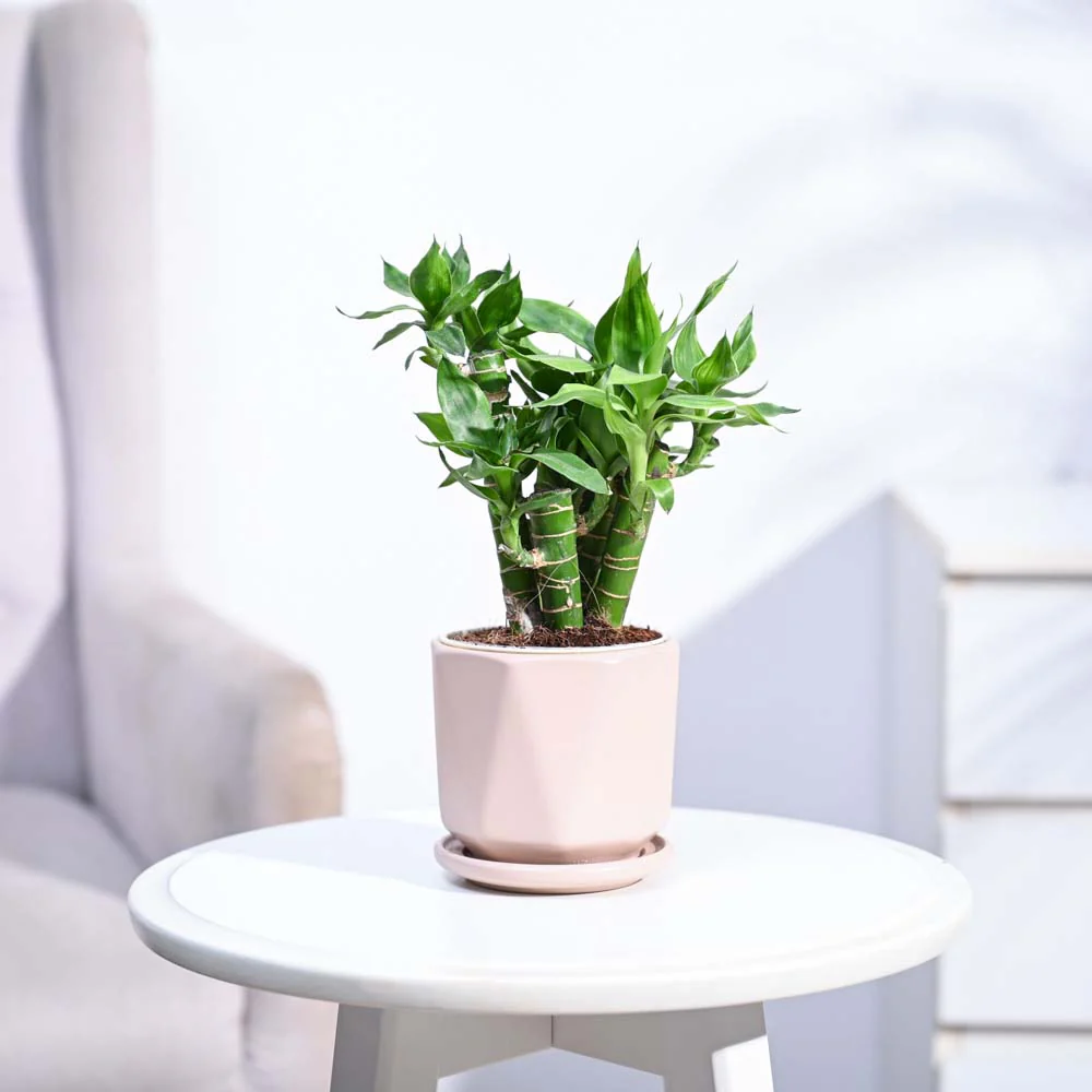 Product image 148