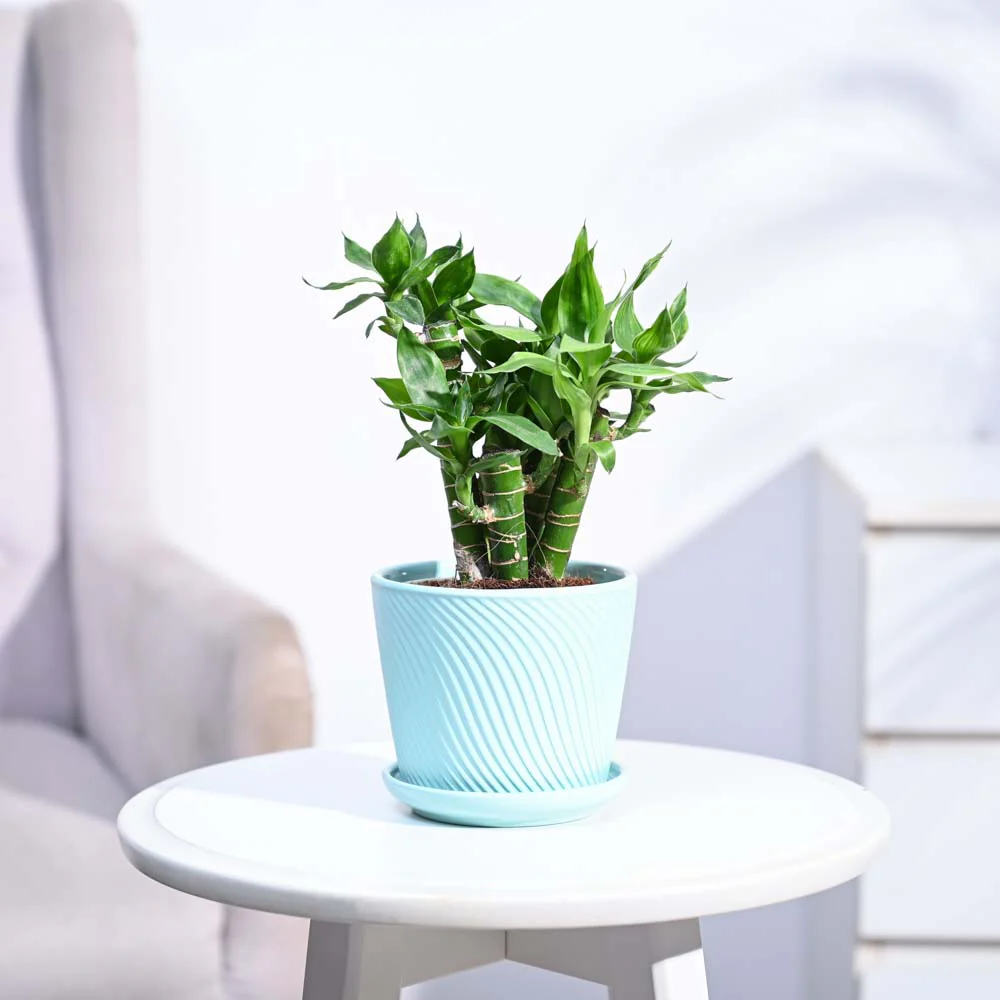 Product image 169
