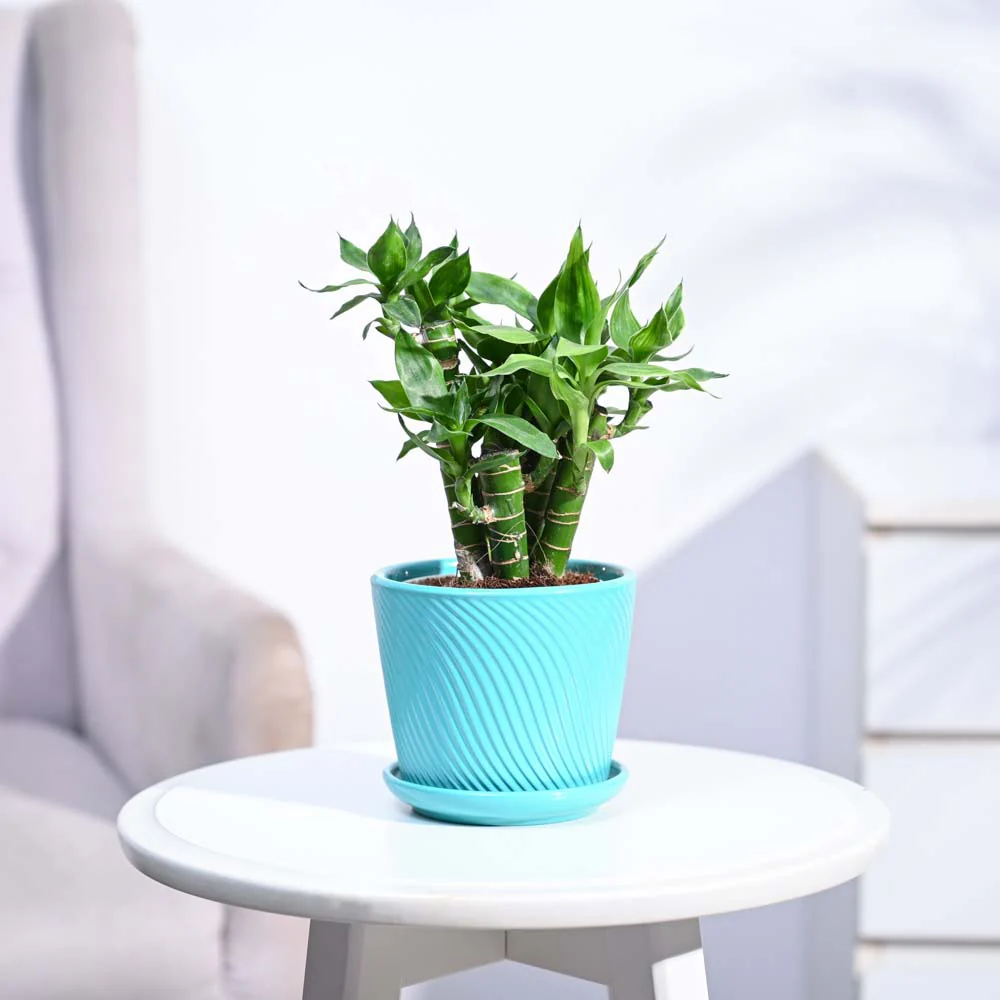 Product image 183