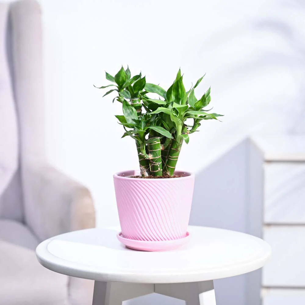 Product image 190