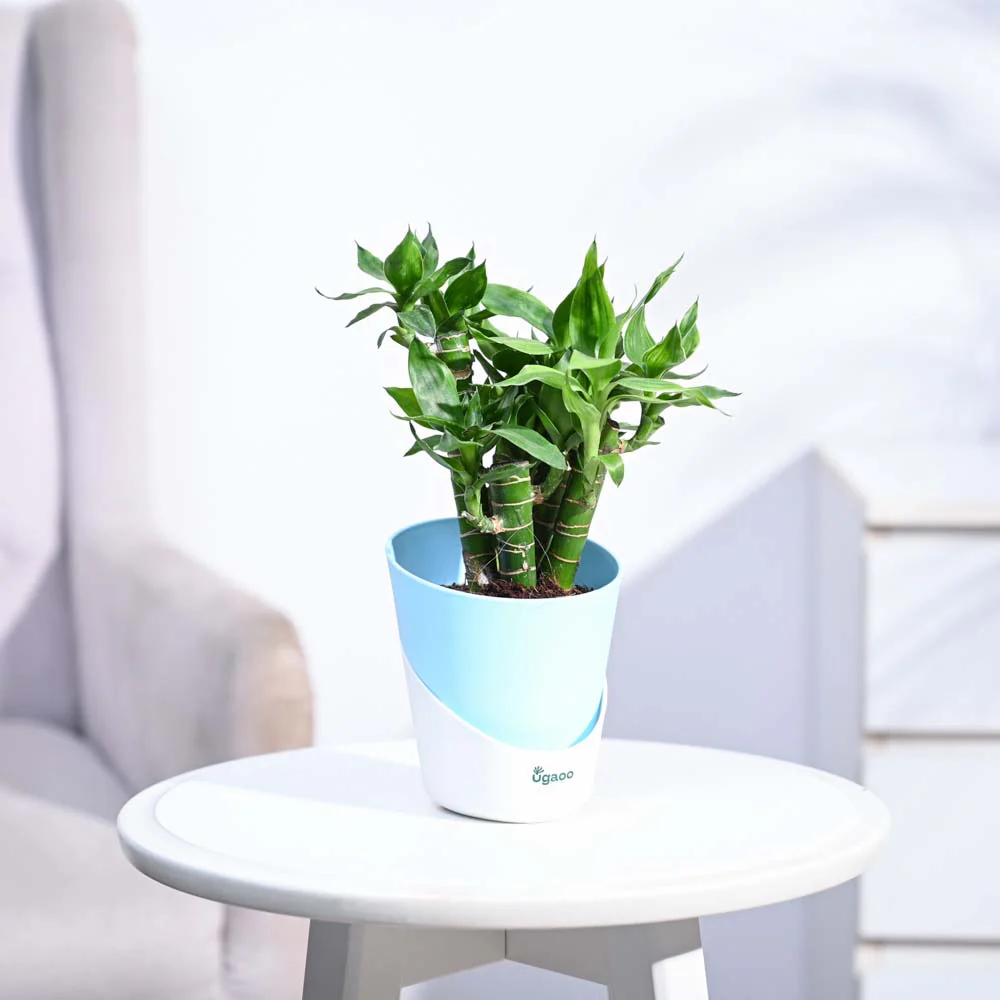 Product image 78