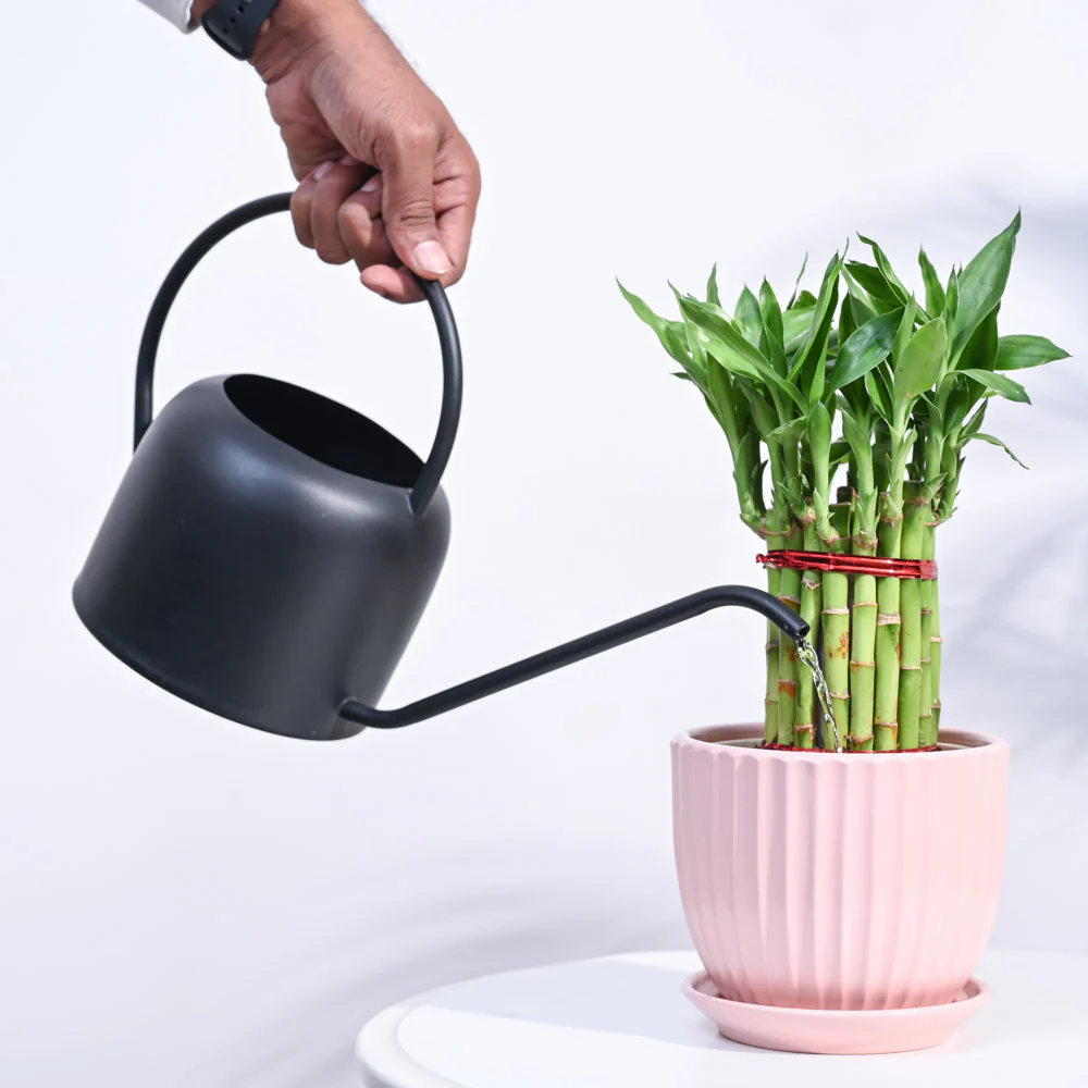 Product image 107