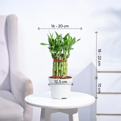 Product image 137