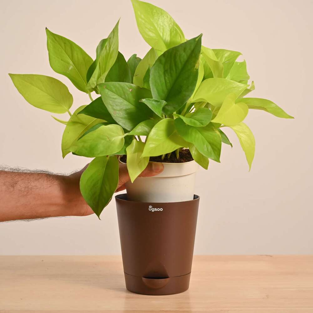 Product image 118