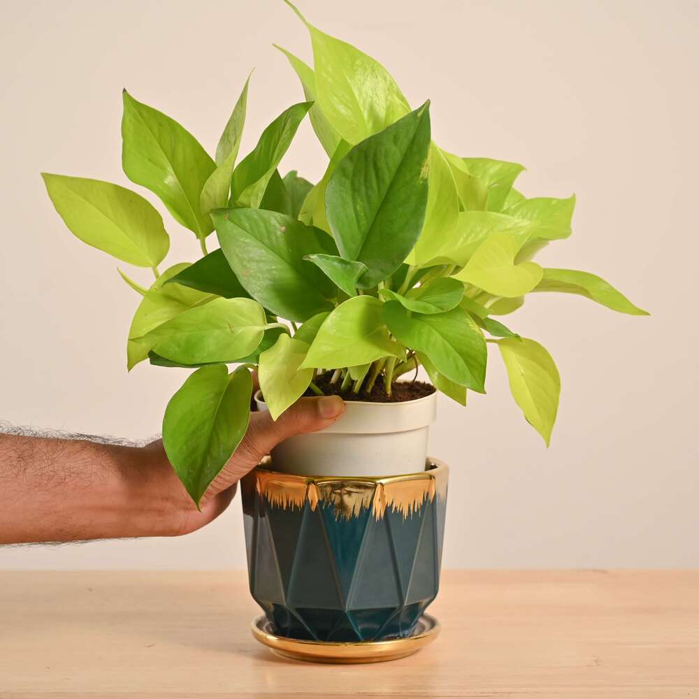 Product image 122